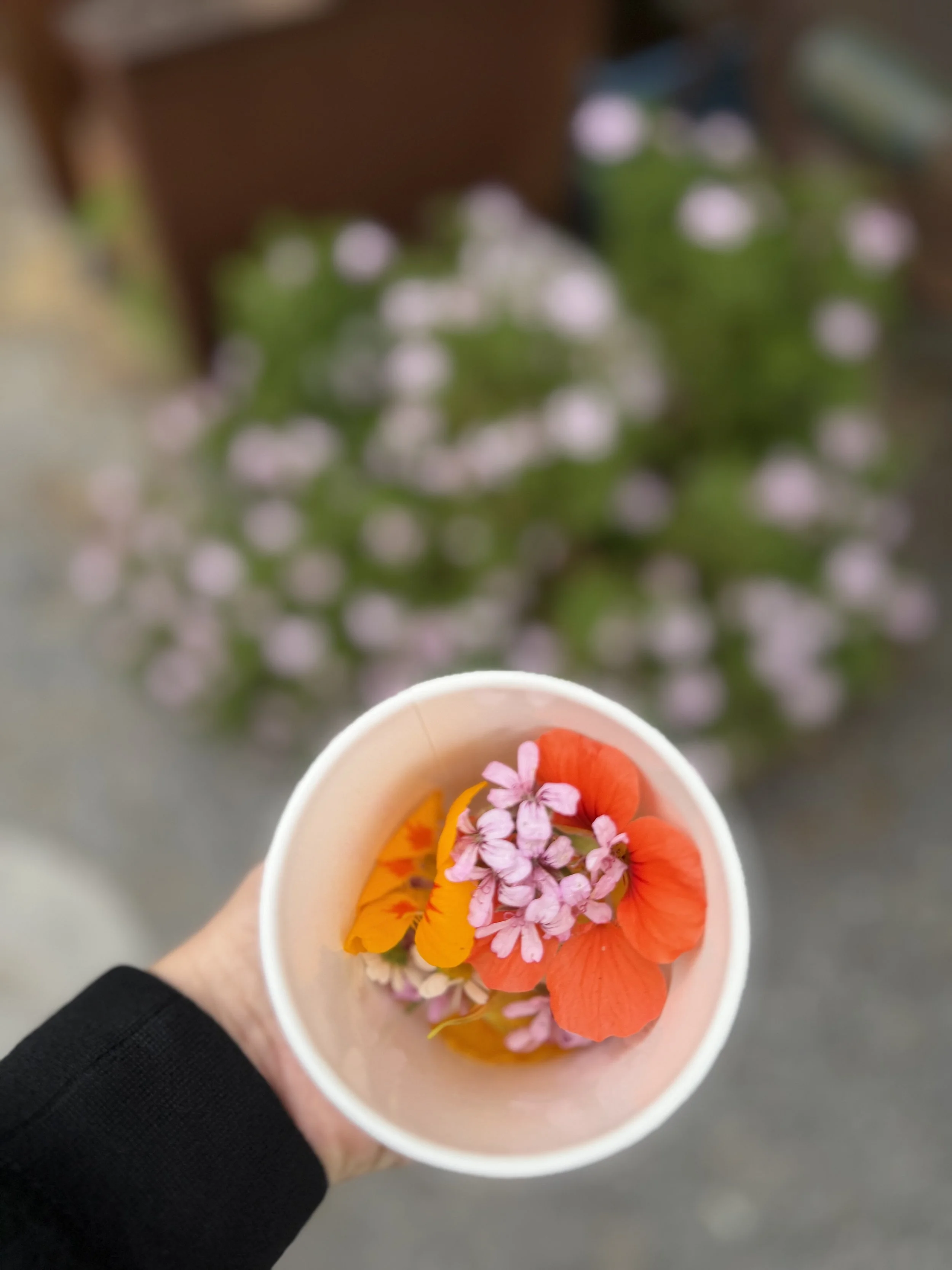 Top view of a hand holding a white cup filled with colorful edible flowers.