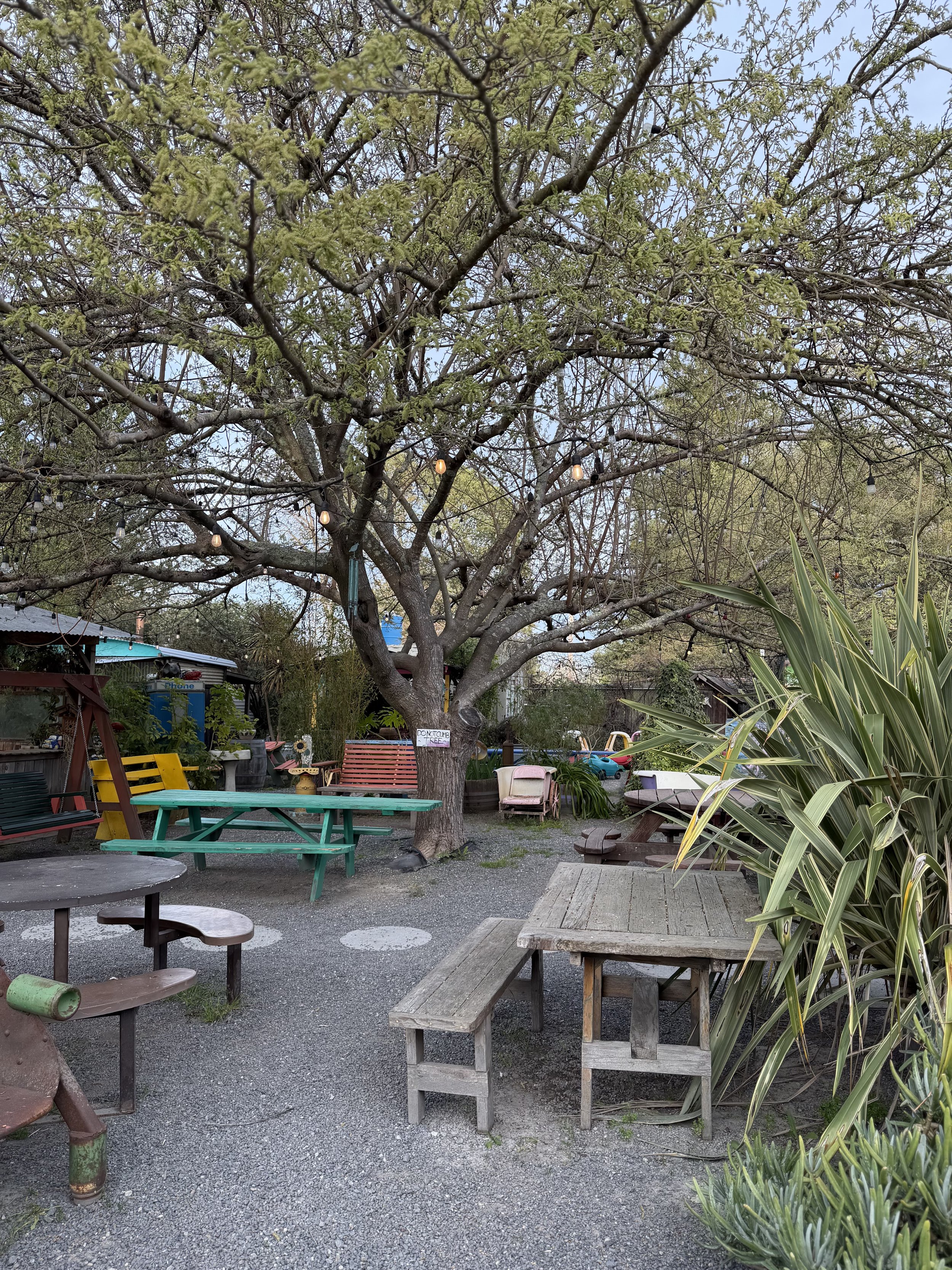 An outdoor patio area with a large tree, string lights, wooden benches, tables, and various plants and chairs.