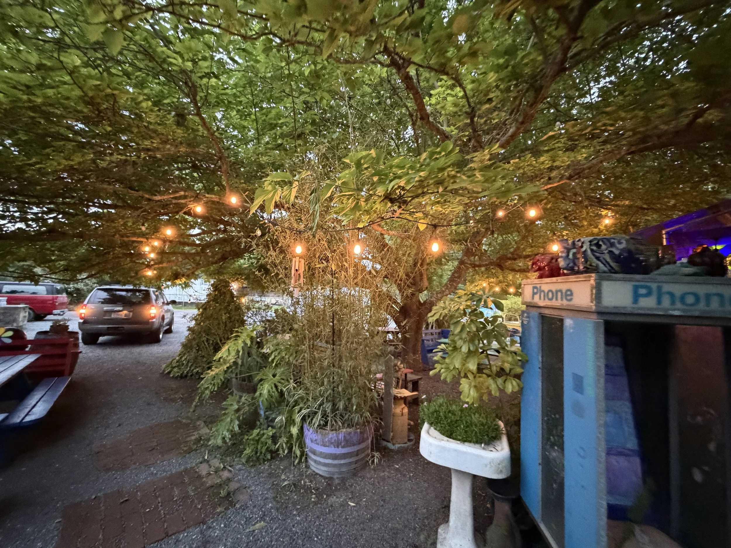 Nighttime view of  benches and decorative plants in the scene, along with a blue phone booth or newspaper stand on the right. With the parking lot in the background.