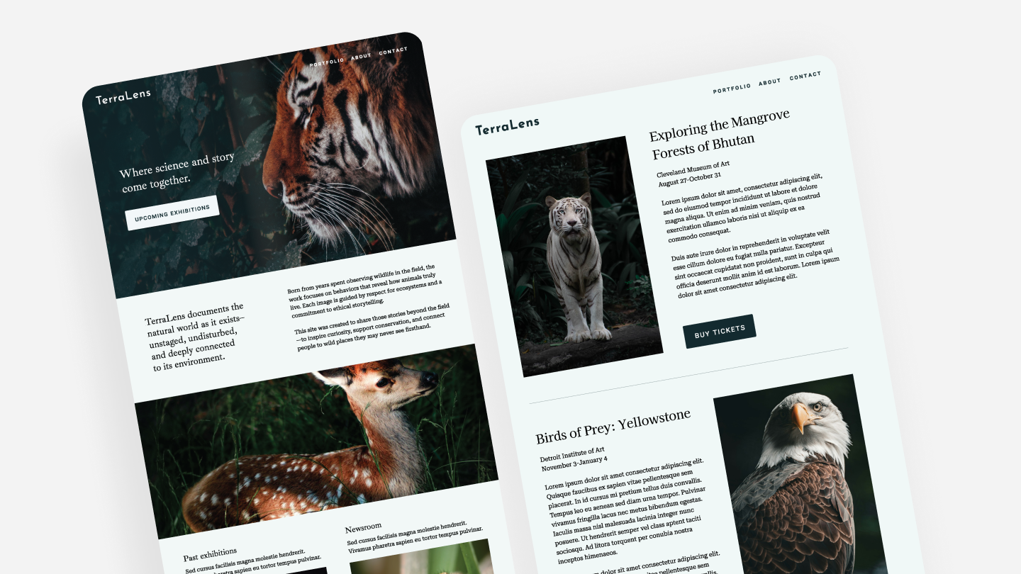 Website Mockup for Wildlife Photographer Portfolio