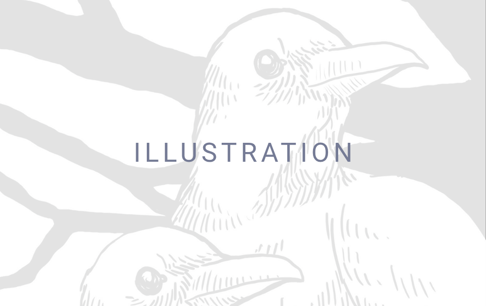 Presentation Design - Illustration Button.png