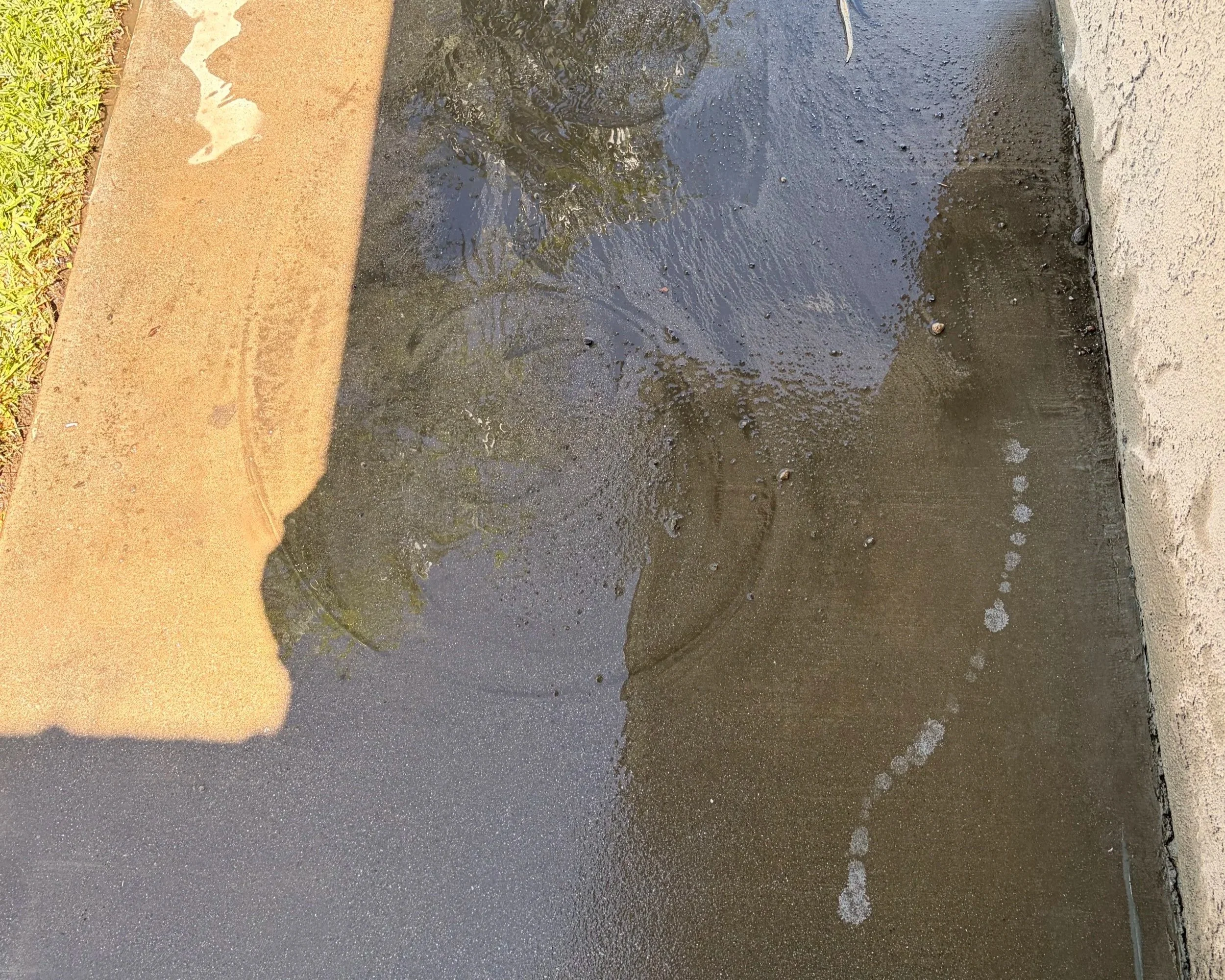 Wet concrete sidewalk with a shadow cast over it, and a small patch of grass alongside with paint stains.