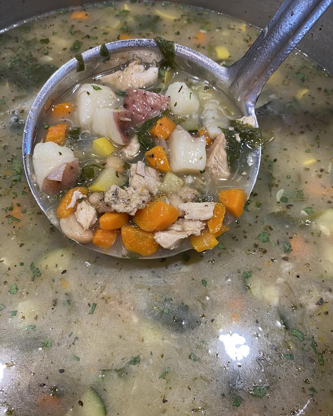 Chicken Vegetable SOup