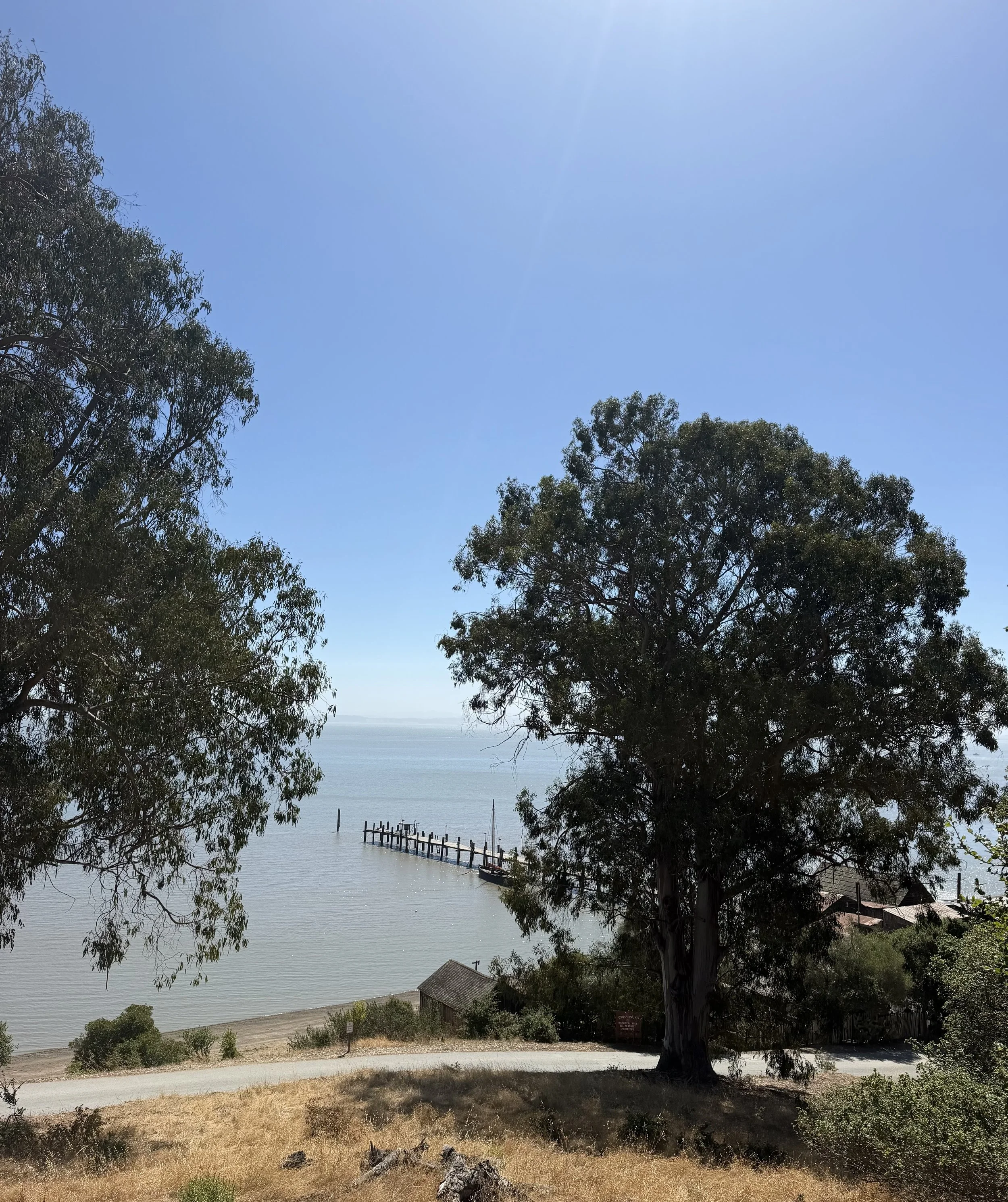 View of a body of water with a small dock and boat, surrounded by trees, under a clear blue sky.