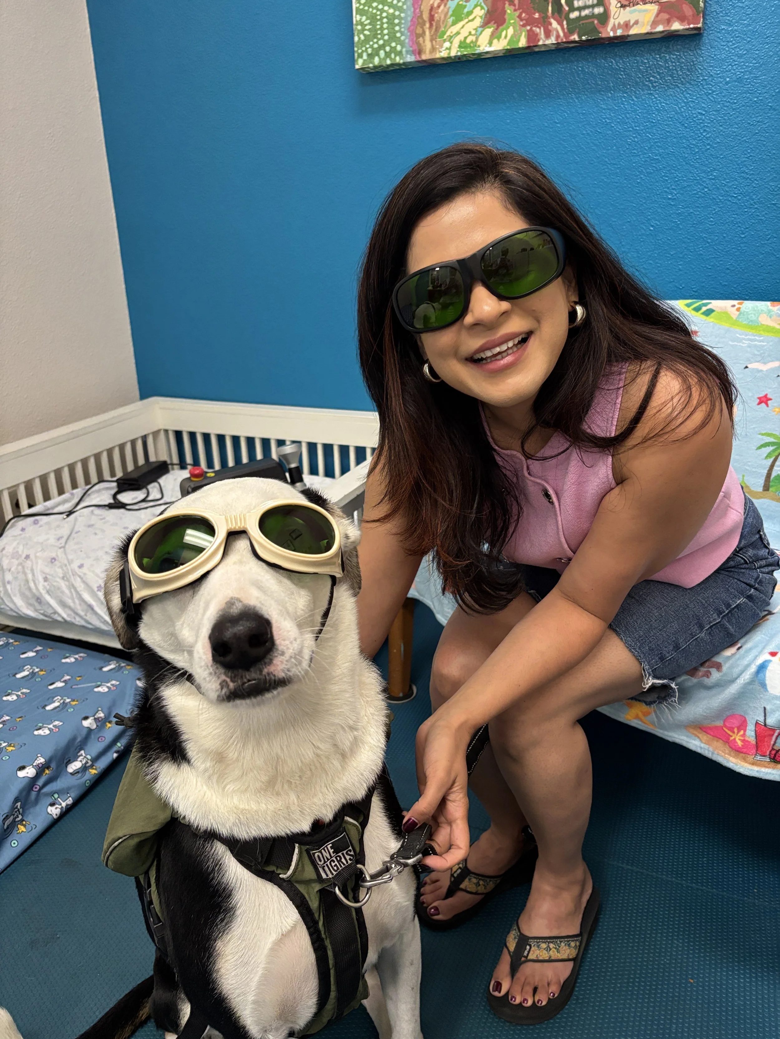 A smiling woman with long dark hair wearing sunglasses and a pink sleeveless shirt, kneels next to a black and white dog wearing sunglasses and a harness. They are indoors in a room with blue walls, colorful paintings, and a bed with a Snoopy-themed blanket.