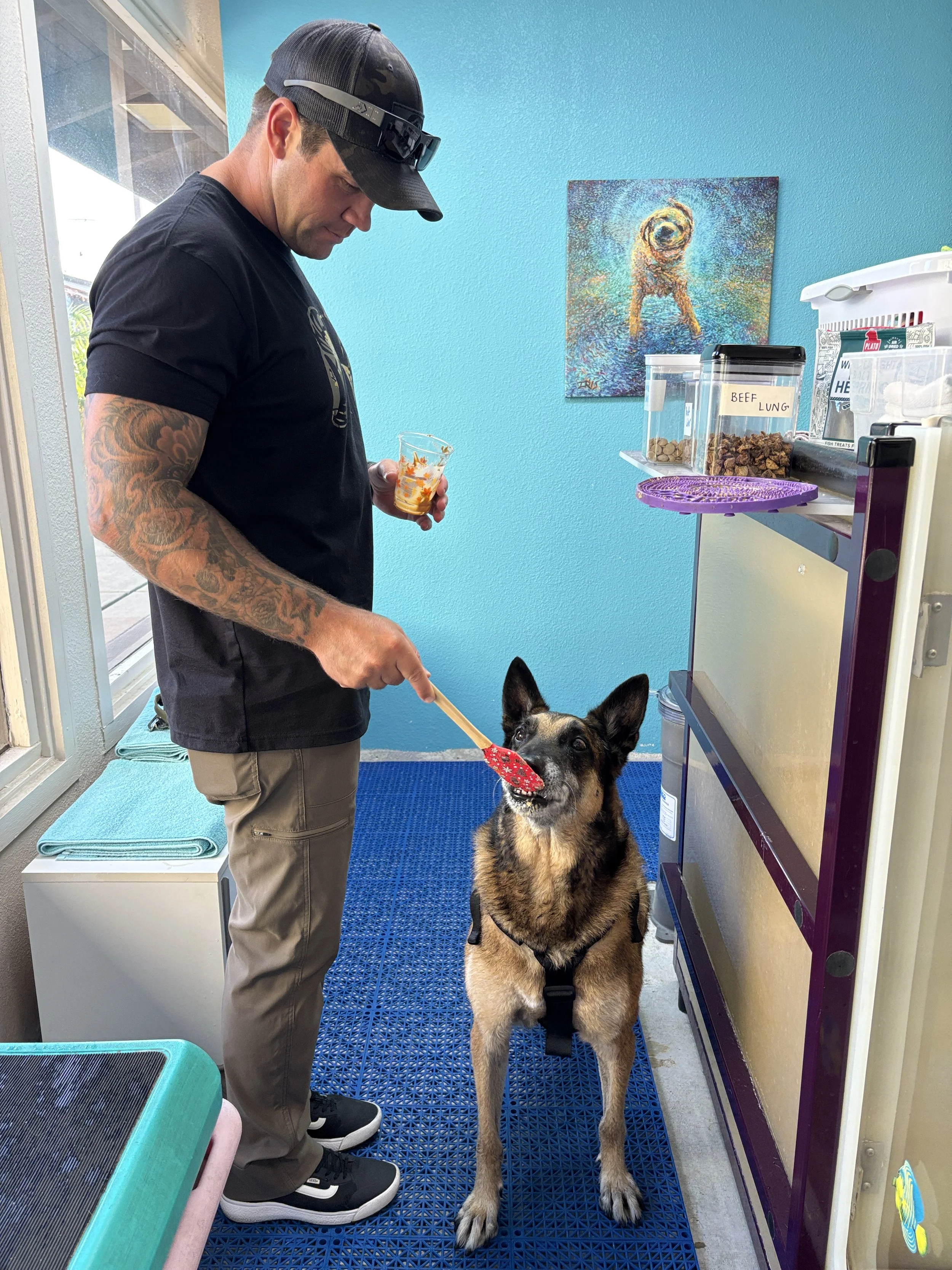 A man with tattoos on his left arm is holding a dog leash in his right hand and a partially empty cup in his left hand. The dog, a German Shepherd, is sitting and looking up at the man. The setting appears to be a pet grooming or veterinary office, w