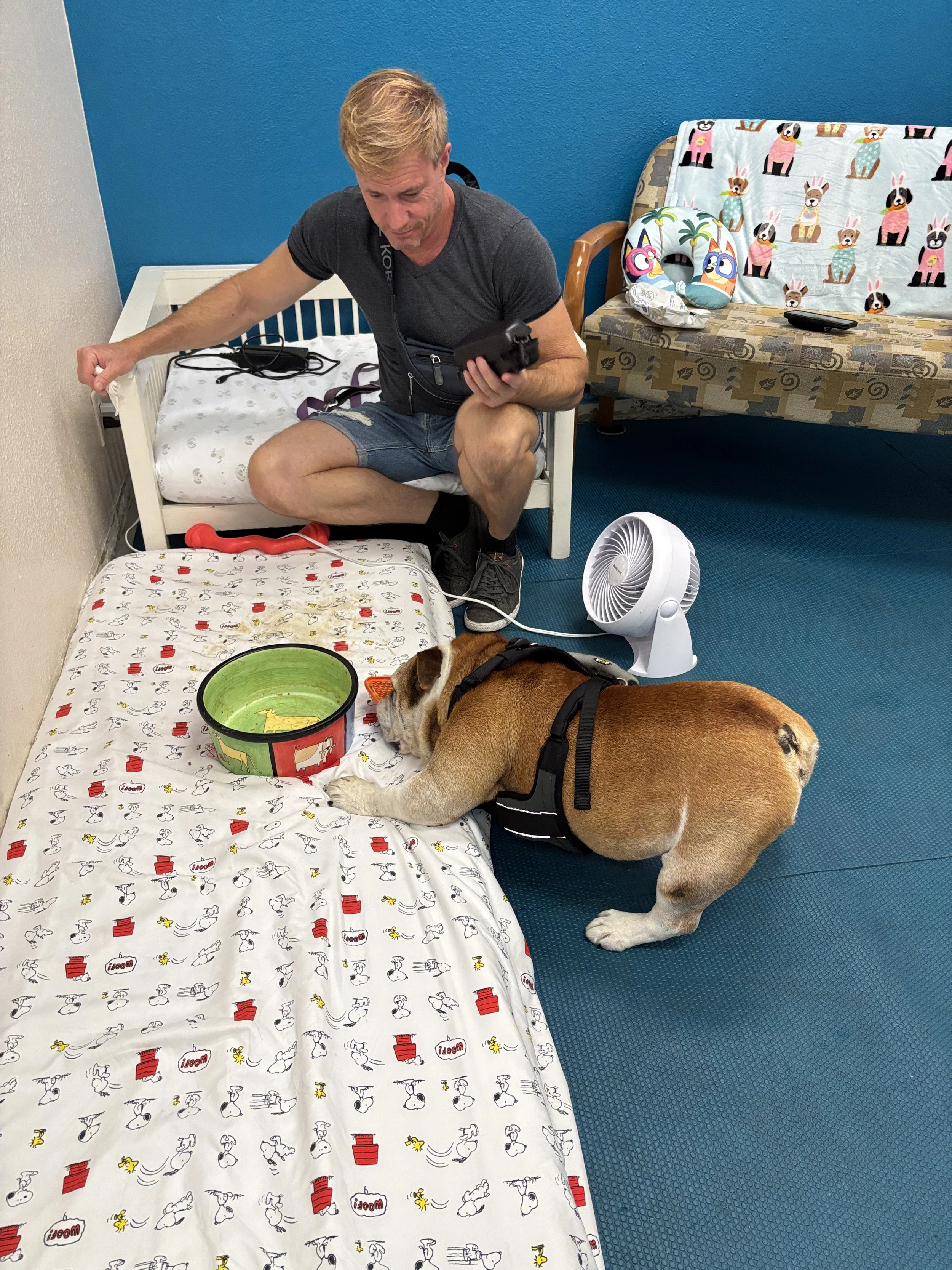 A man with blond hair, wearing a gray t-shirt and shorts, sitting on a bed with Snoopy-themed bedsheet, holding a device, with a large brown dog lying next to him. There is a fan on the floor, a small pillow with animals, and a sofa with a table in t