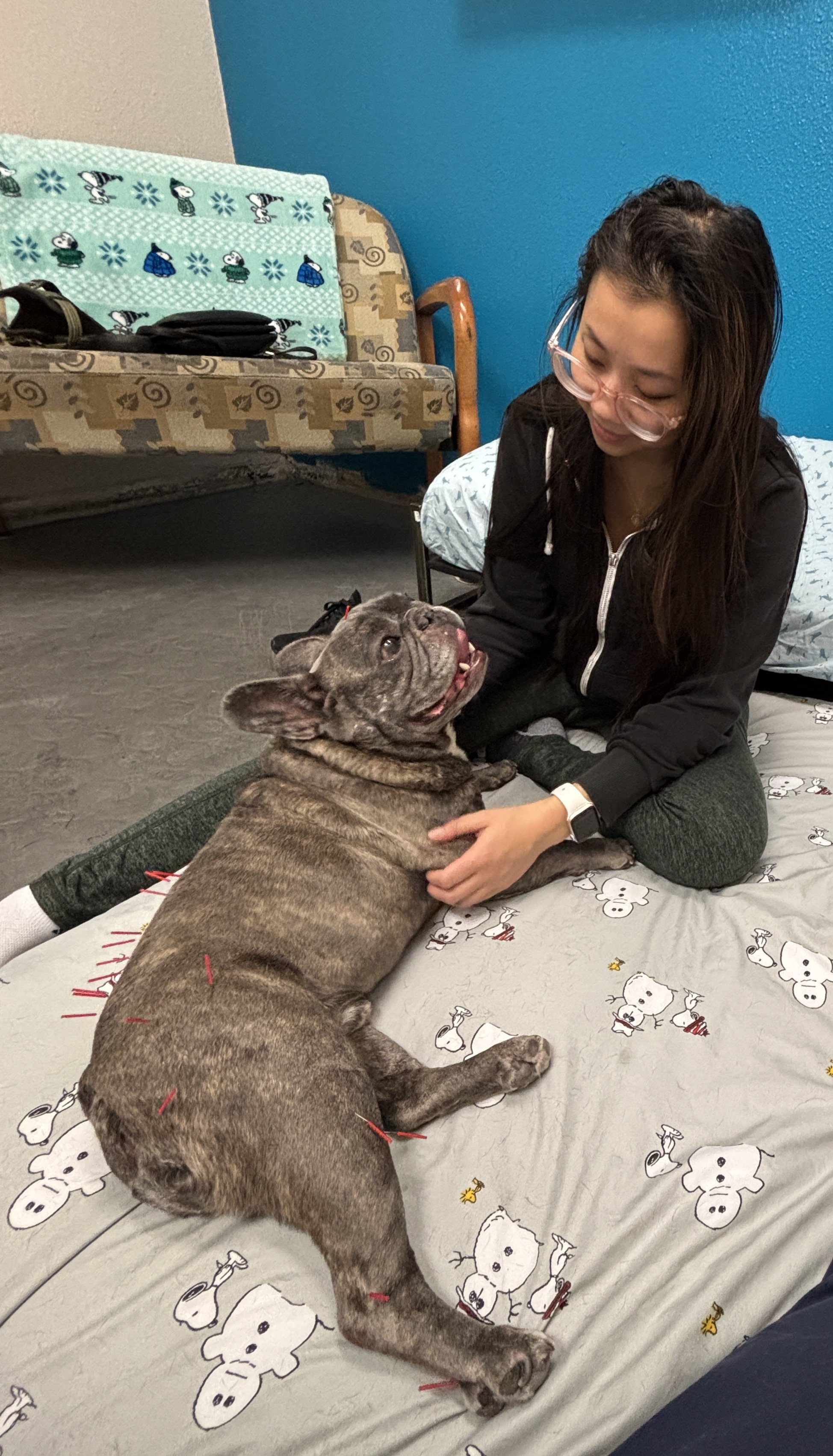A woman with glasses and long hair sitting on a bed playing with a French bulldog. The dog is lying on its side, looking up at the woman with its tongue out. The bedspread has a Snoopy dog pattern.
