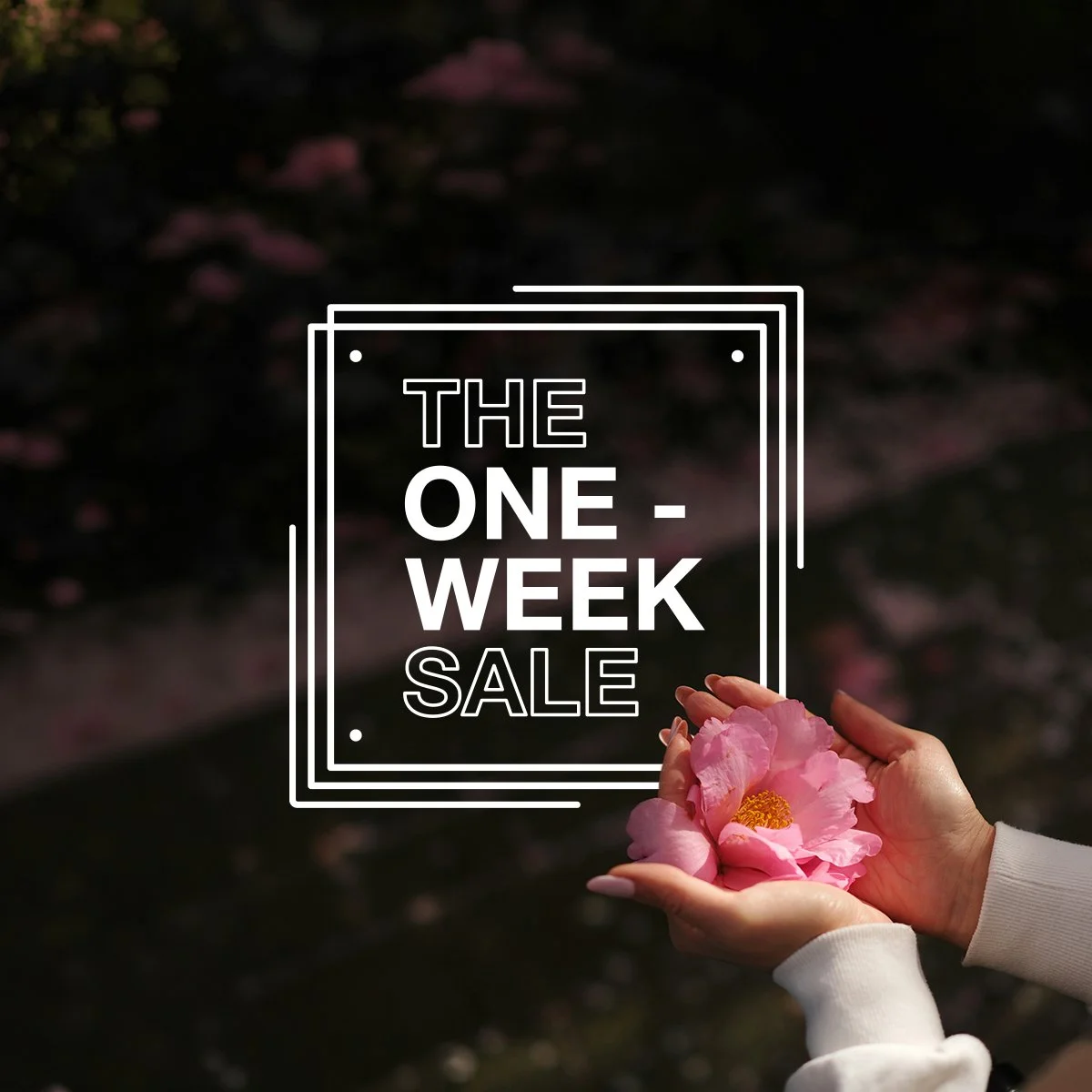 A hand holding a pink flower in front of a dark background with an overlay of text advertising a one-week sale.