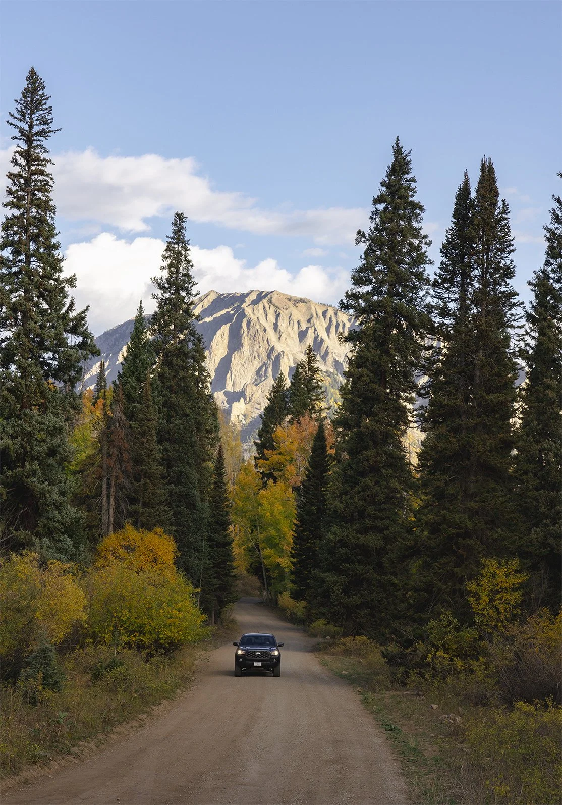 A car driving on a dirt road through a forest with tall pine trees and colorful autumn foliage, with mountains and a partly cloudy sky in the background.