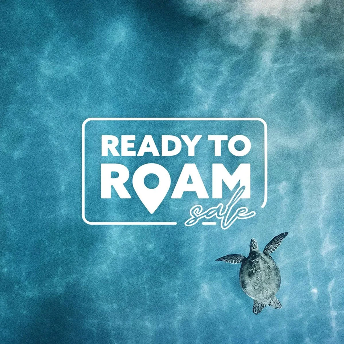 Blue background with the white text 'Ready to Roam' and a location pin icon, with a turtle flying like a bird in the bottom right corner, and the word 'sale' written in cursive below.