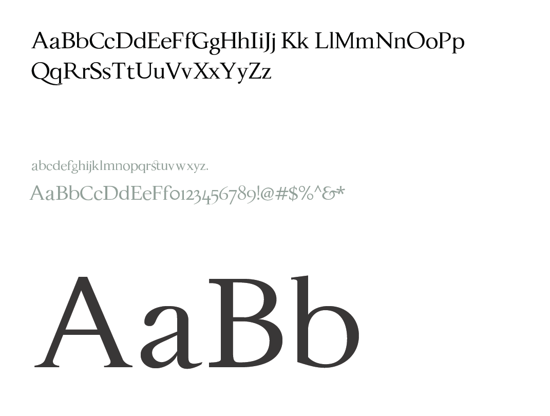 Sample of various fonts and typefaces showing uppercase and lowercase letters, numbers, and special characters.
