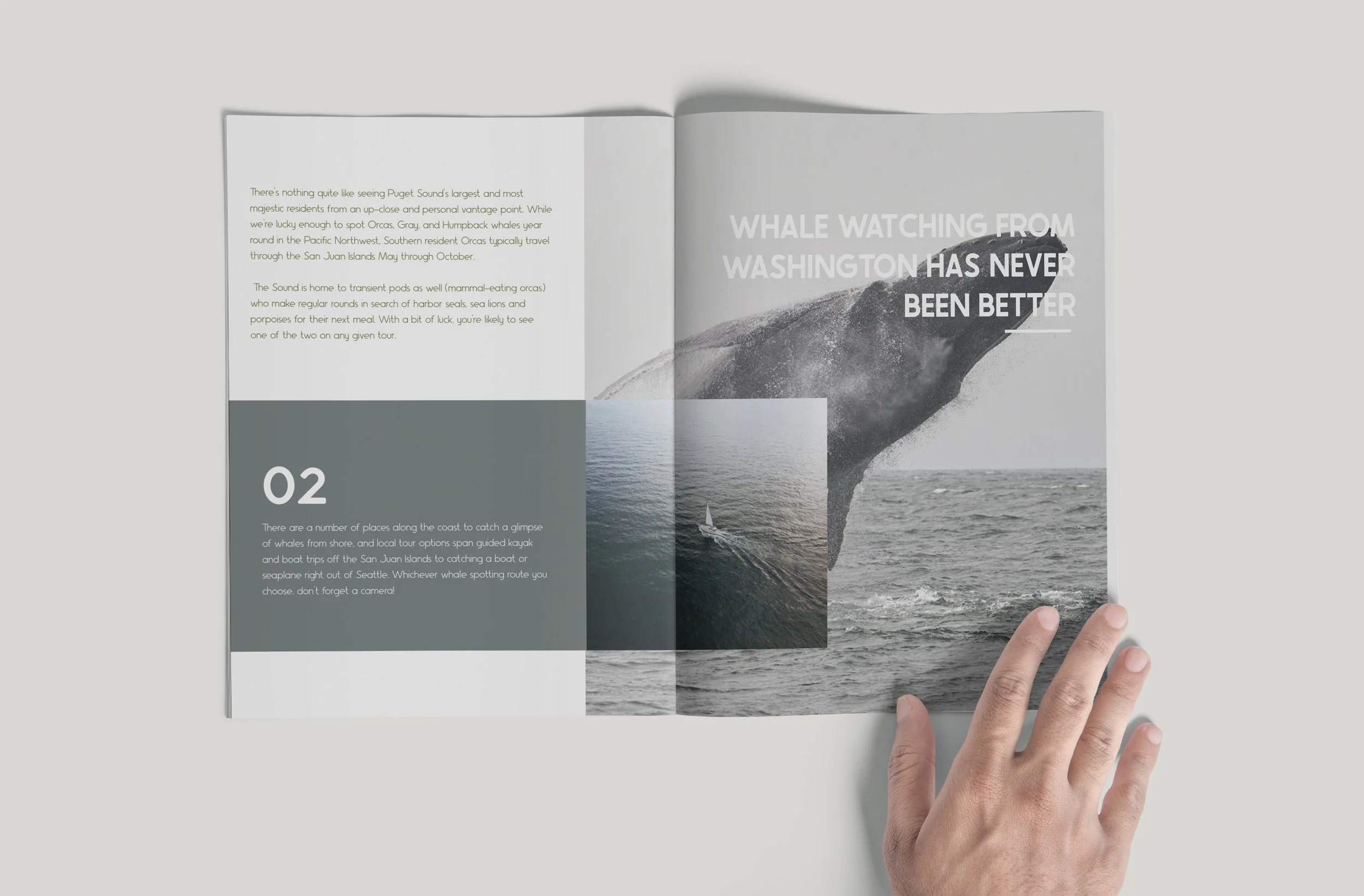 A person holding an open magazine with black-and-white images of whales and a page with text about whale watching in Puget Sound.