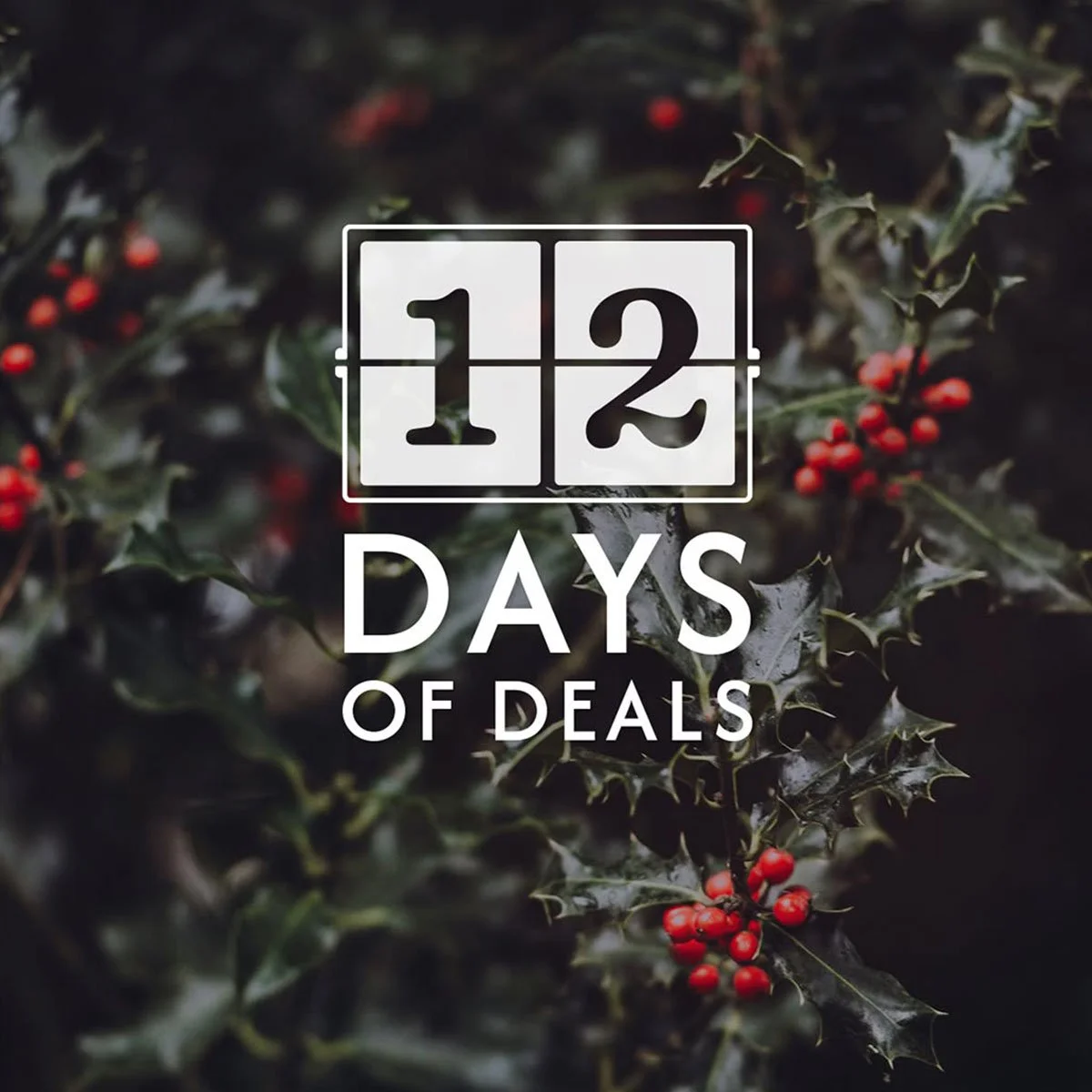 Holiday-themed graphic with holly leaves and red berries behind the text '112 Days of Deals' in white.