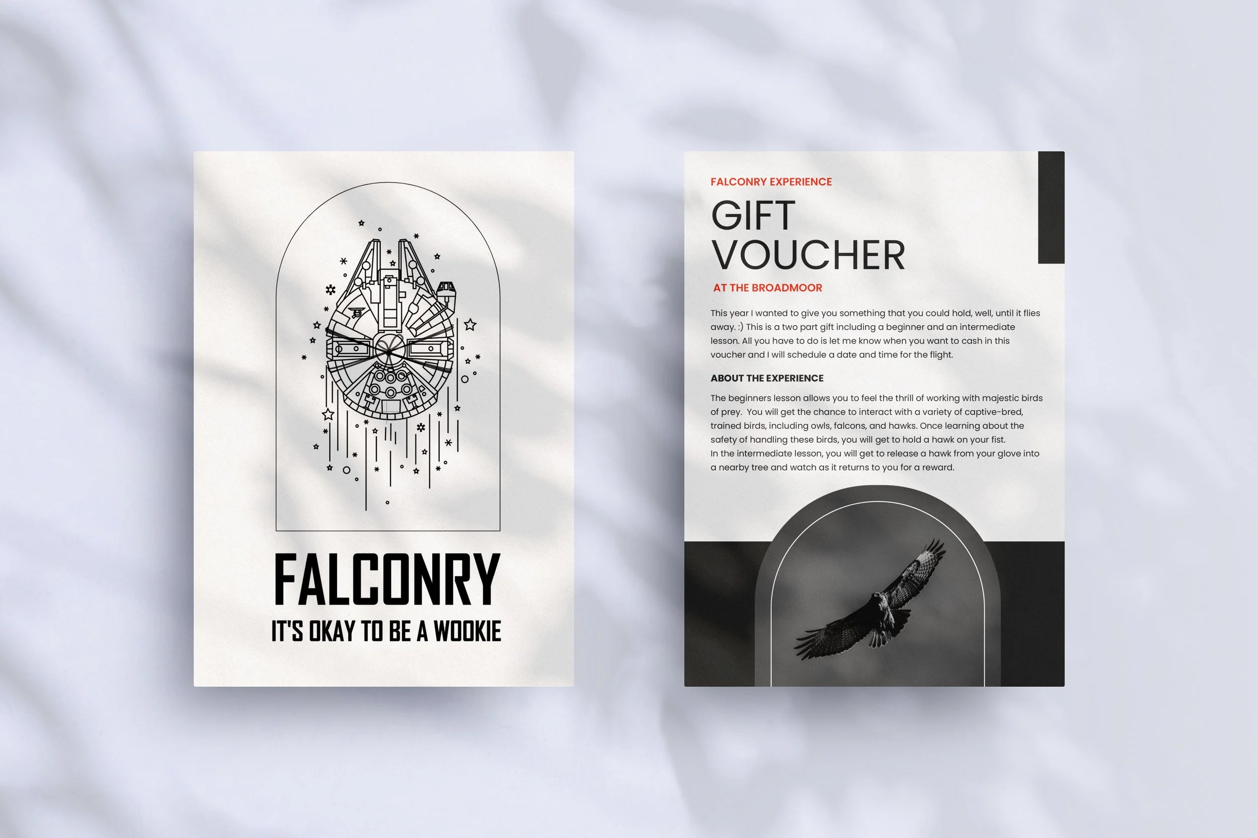A black and white flyer featuring a stylized illustration of a spaceship and promotional text about a falconry experience, including a gift voucher at The Broadmoor.