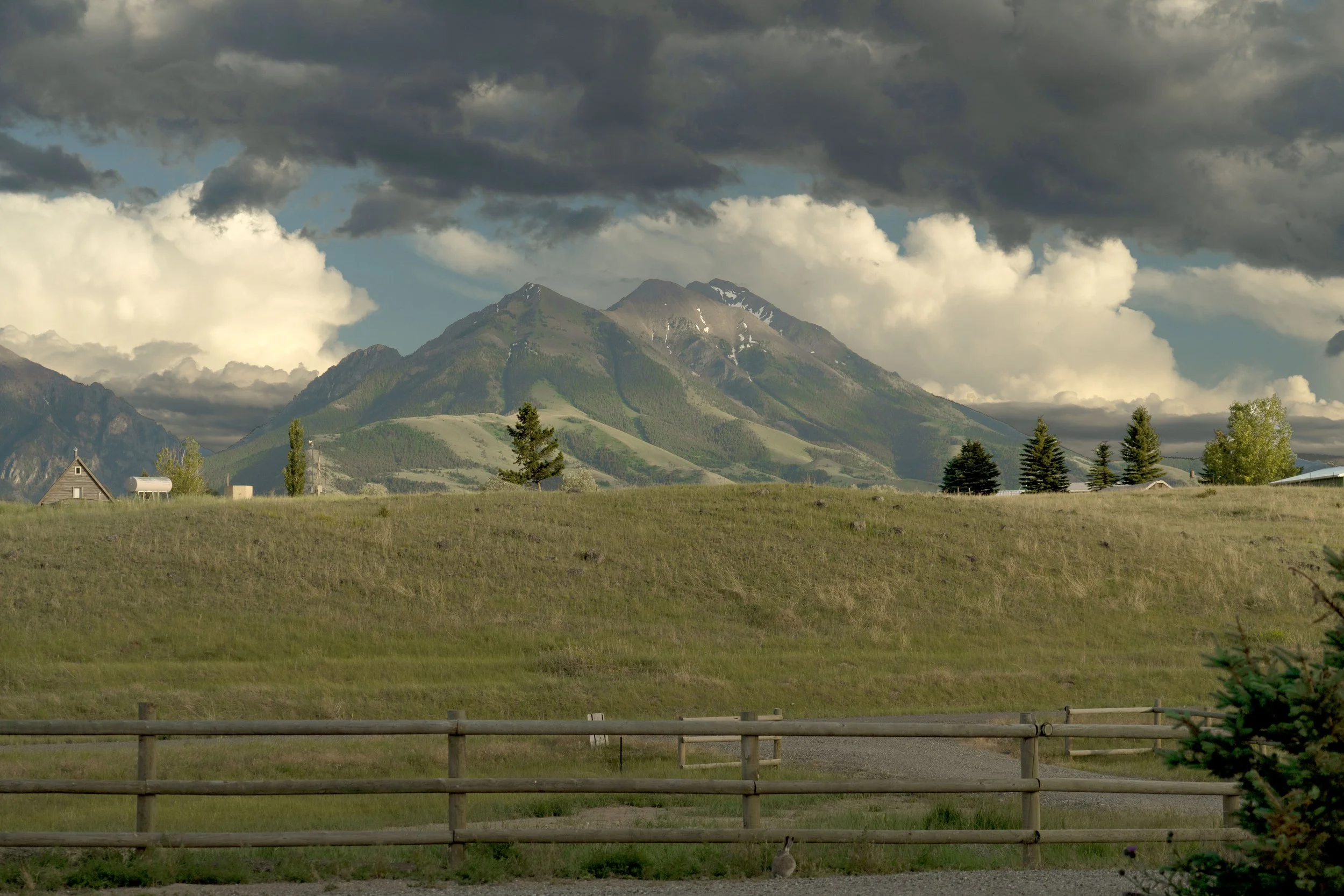 Scenic view of a mountain range with dark storm clouds overhead, green grassy fields, scattered trees, a small house, and a bunny in the foreground.