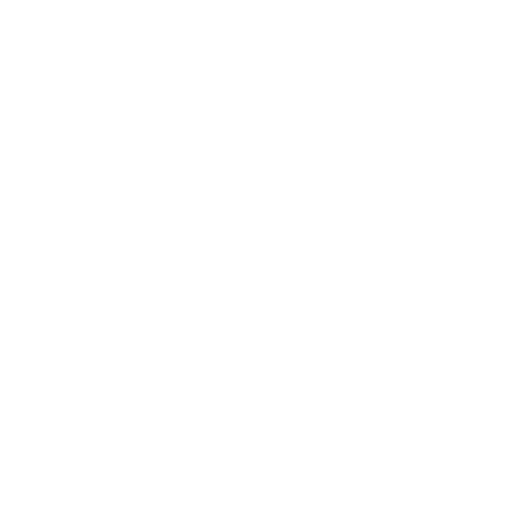 The image is completely blank with a white background and no visible objects or details.