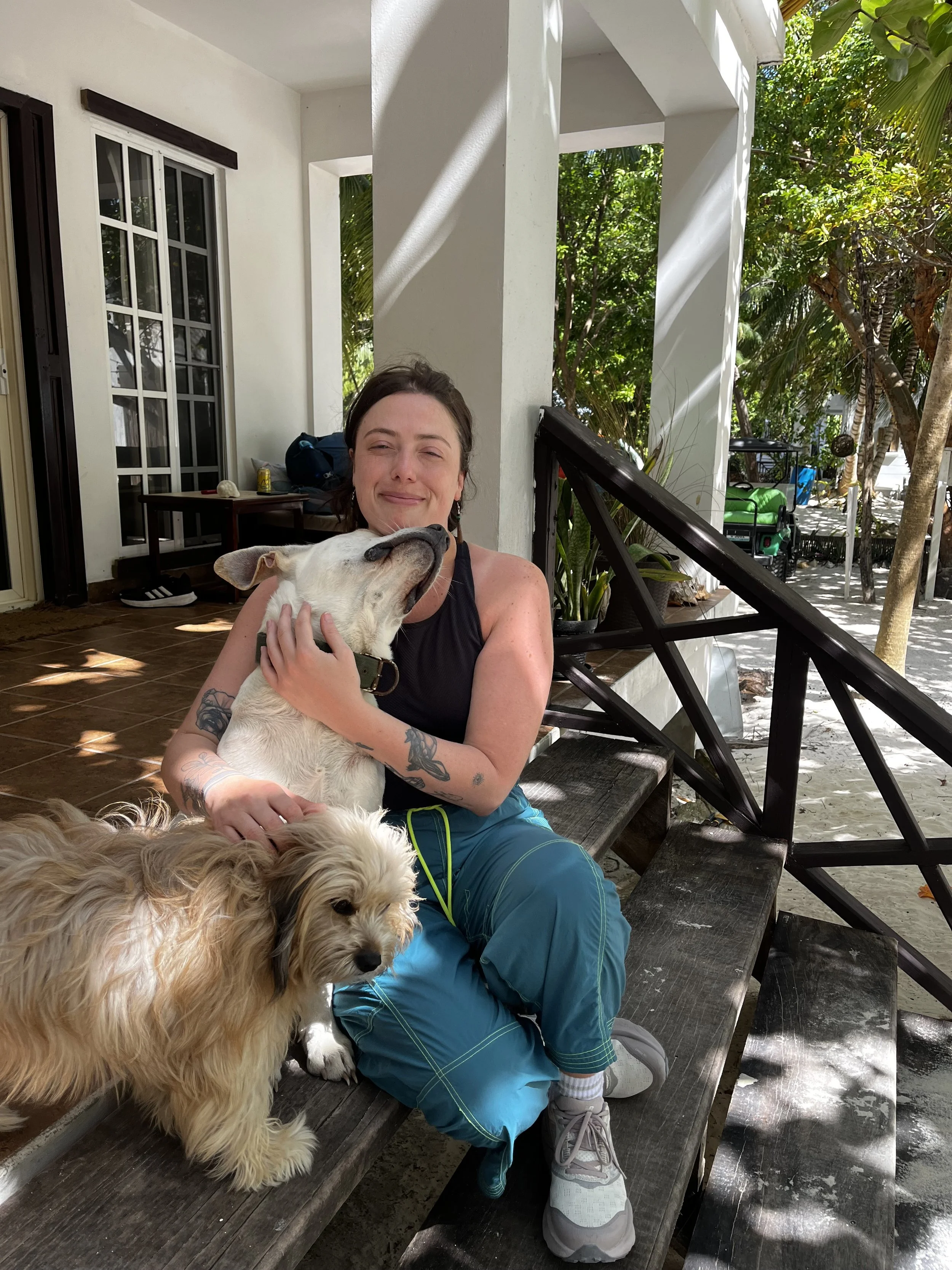 travel dog sitting