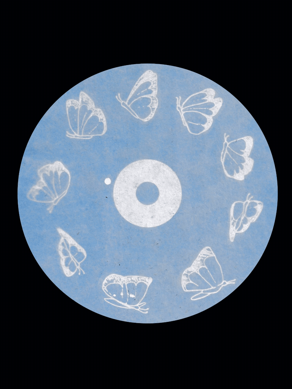 Adobe Express - butterfly_cd_alone.gif