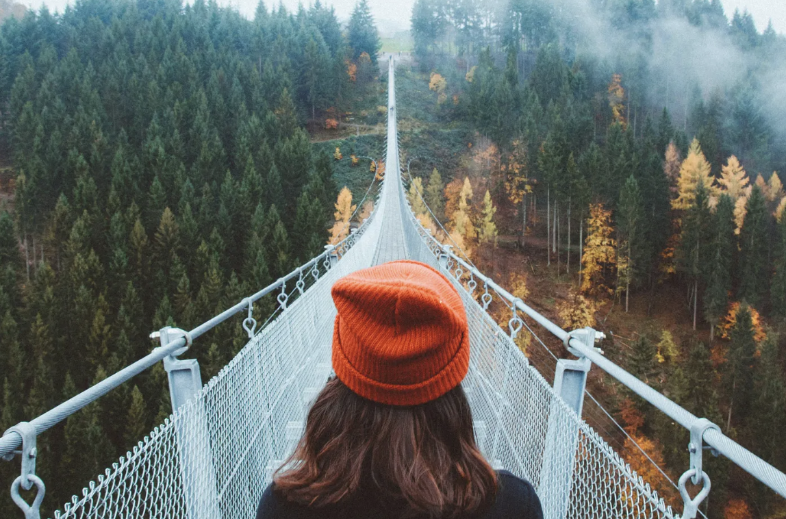From Survival to Significance: The Evolution of Purpose from Organisms to Enterprises