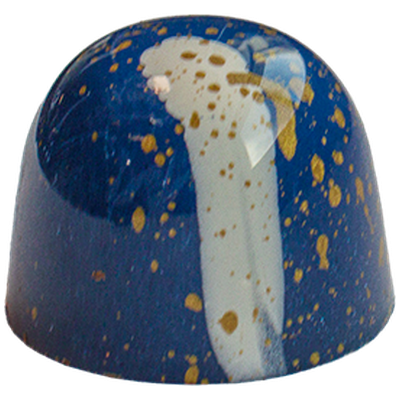 Salted Caramel Chocolate Bonbon