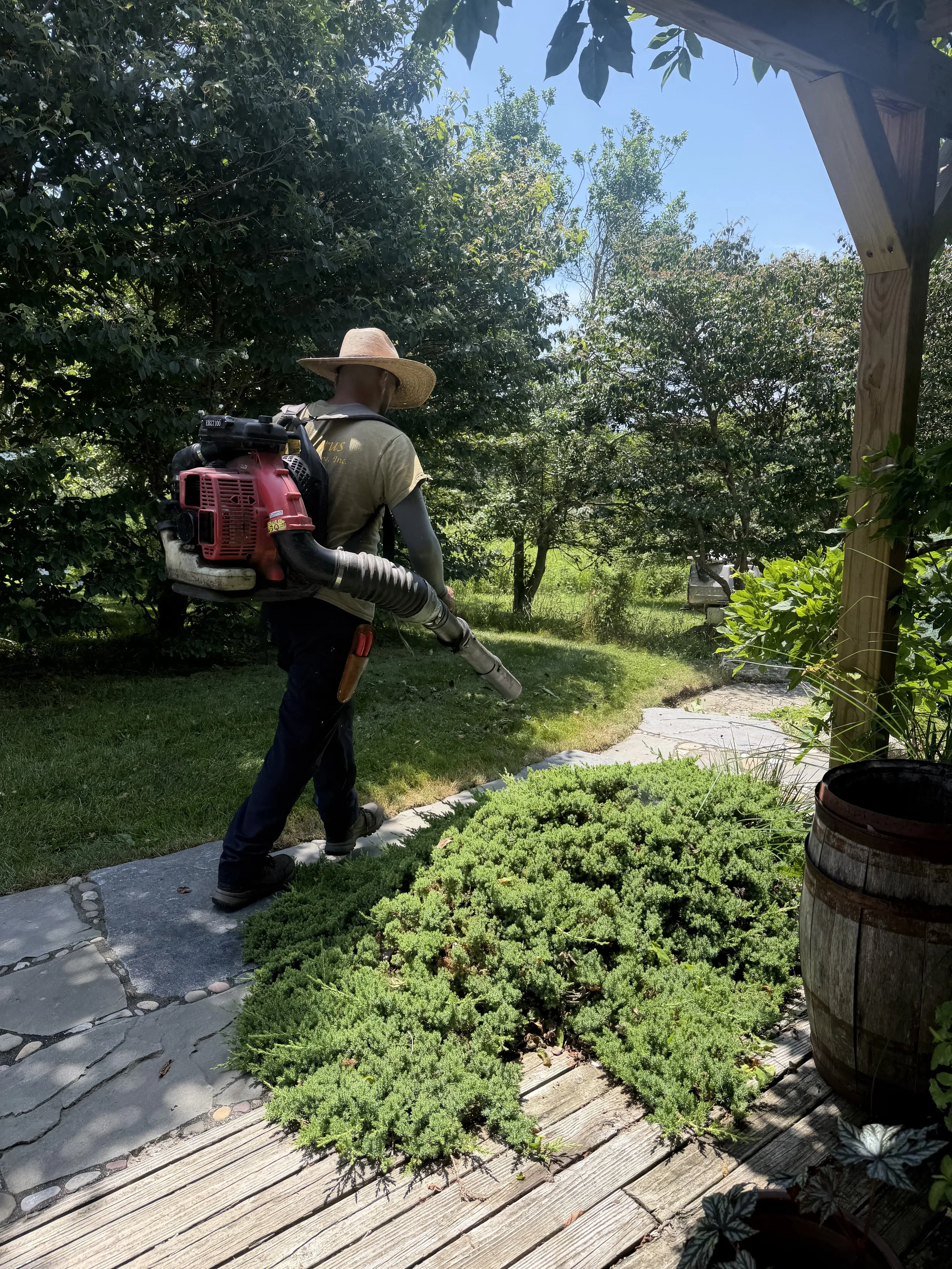 A person wearing a straw hat and a backpack is using a leaf blower to clean a garden area with lush green plants, a stone pathway, and a wooden deck in a sunny outdoor setting.
