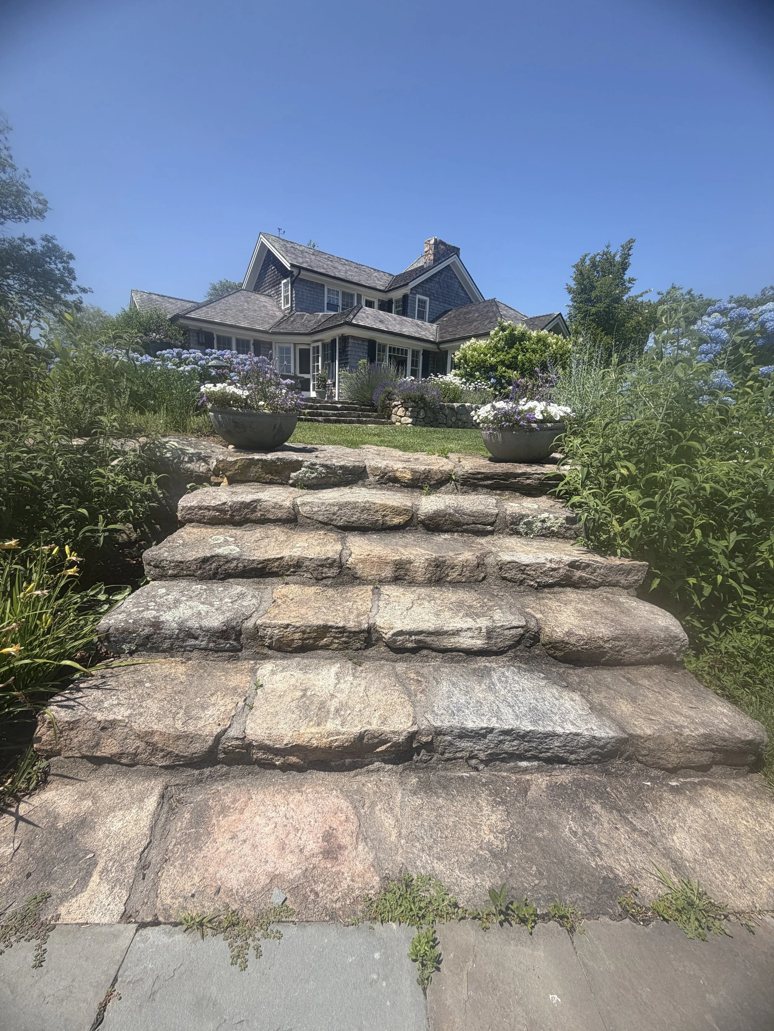 Stone steps leading up to a house with a garden on both sides, featuring various plants and flowers, under a clear blue sky.