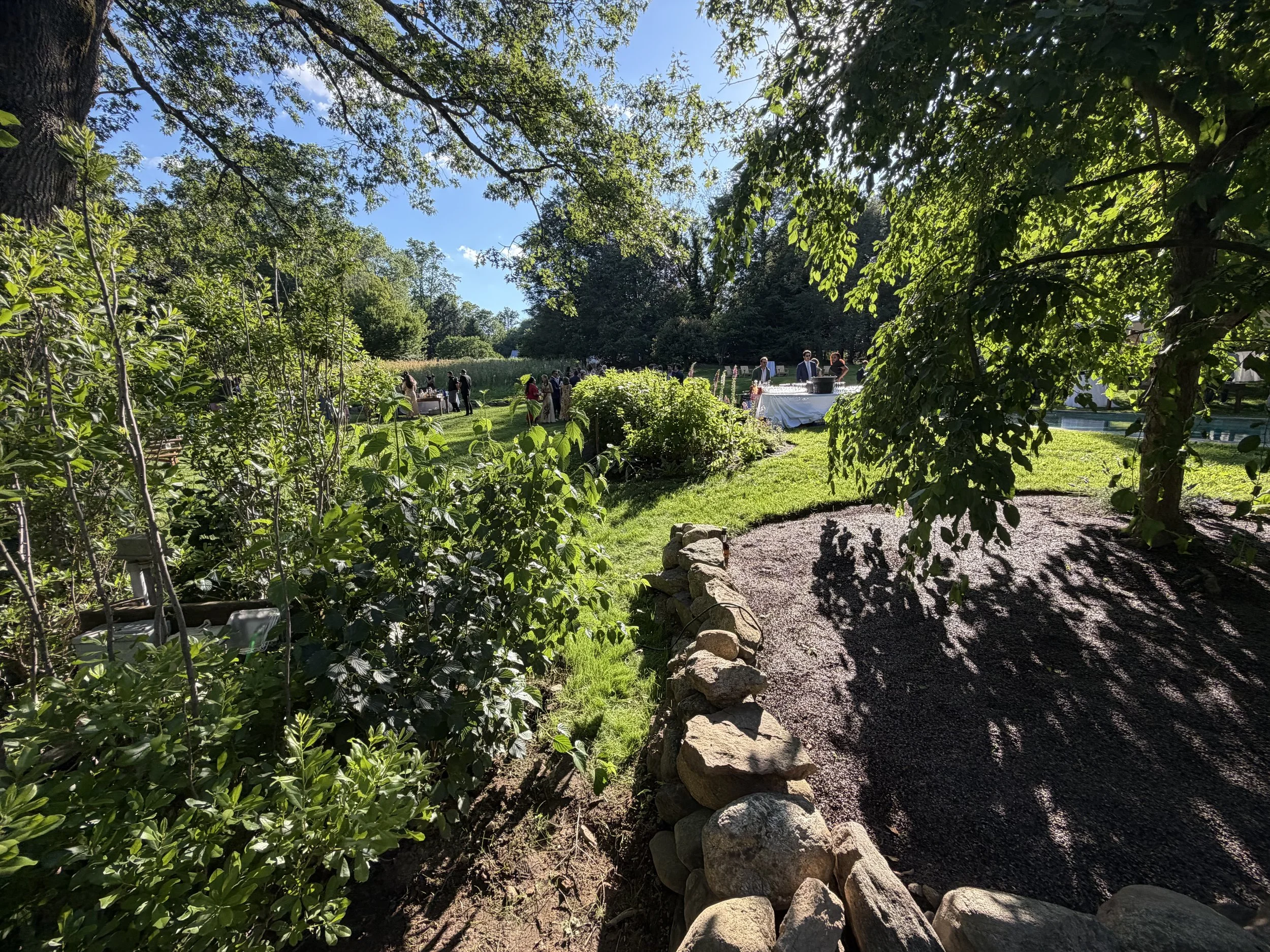 Outdoor gathering in a lush green park with people chatting near a table, surrounded by trees on a sunny day.