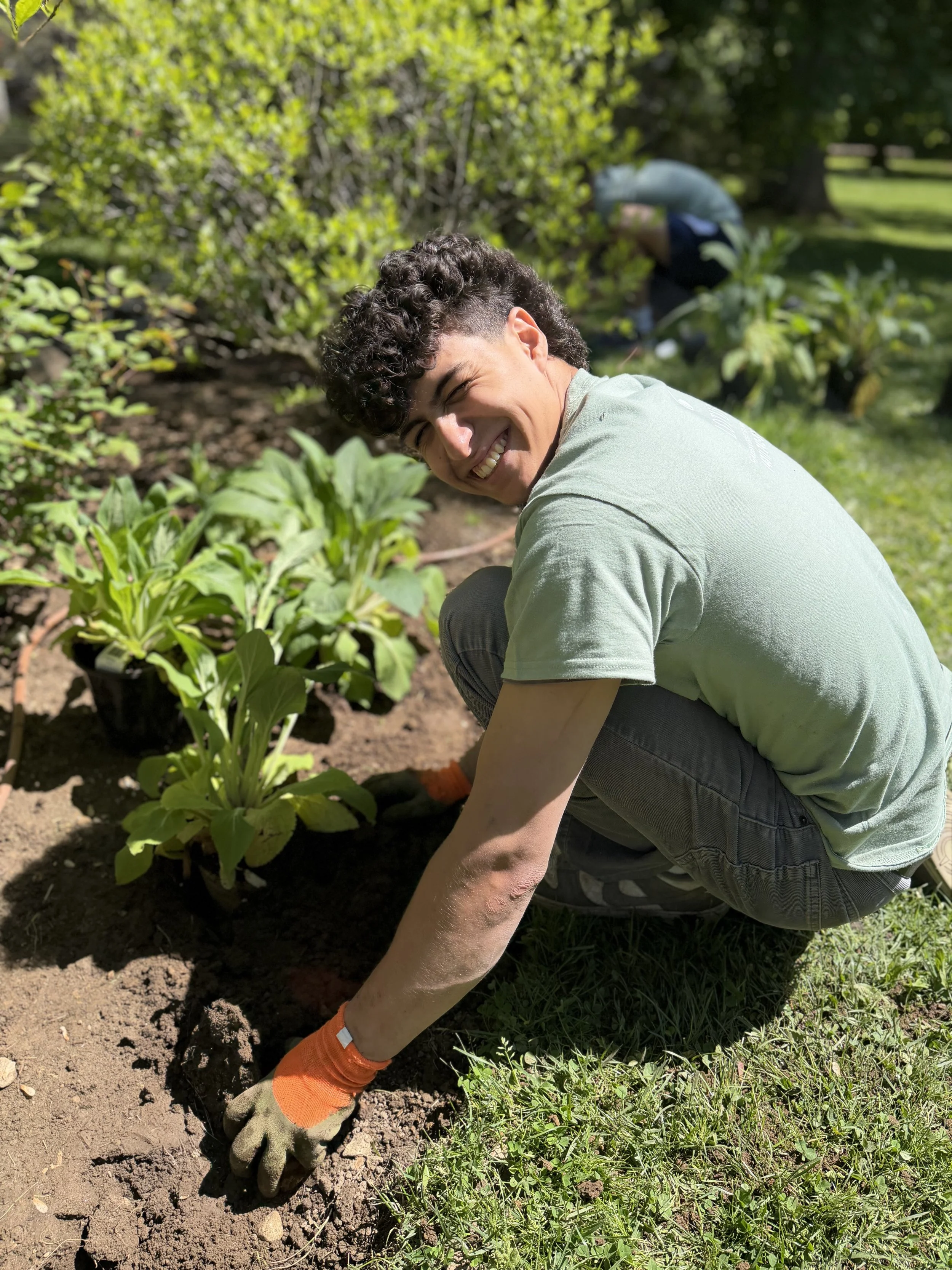 A young man with curly hair squatting in a garden, planting or tending to a small green plant with large leaves, surrounded by soil and grass, with another person in the background doing similar gardening work.