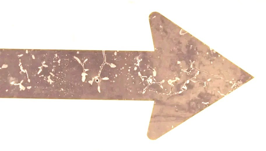 Marbled brown arrow pointing to the right.