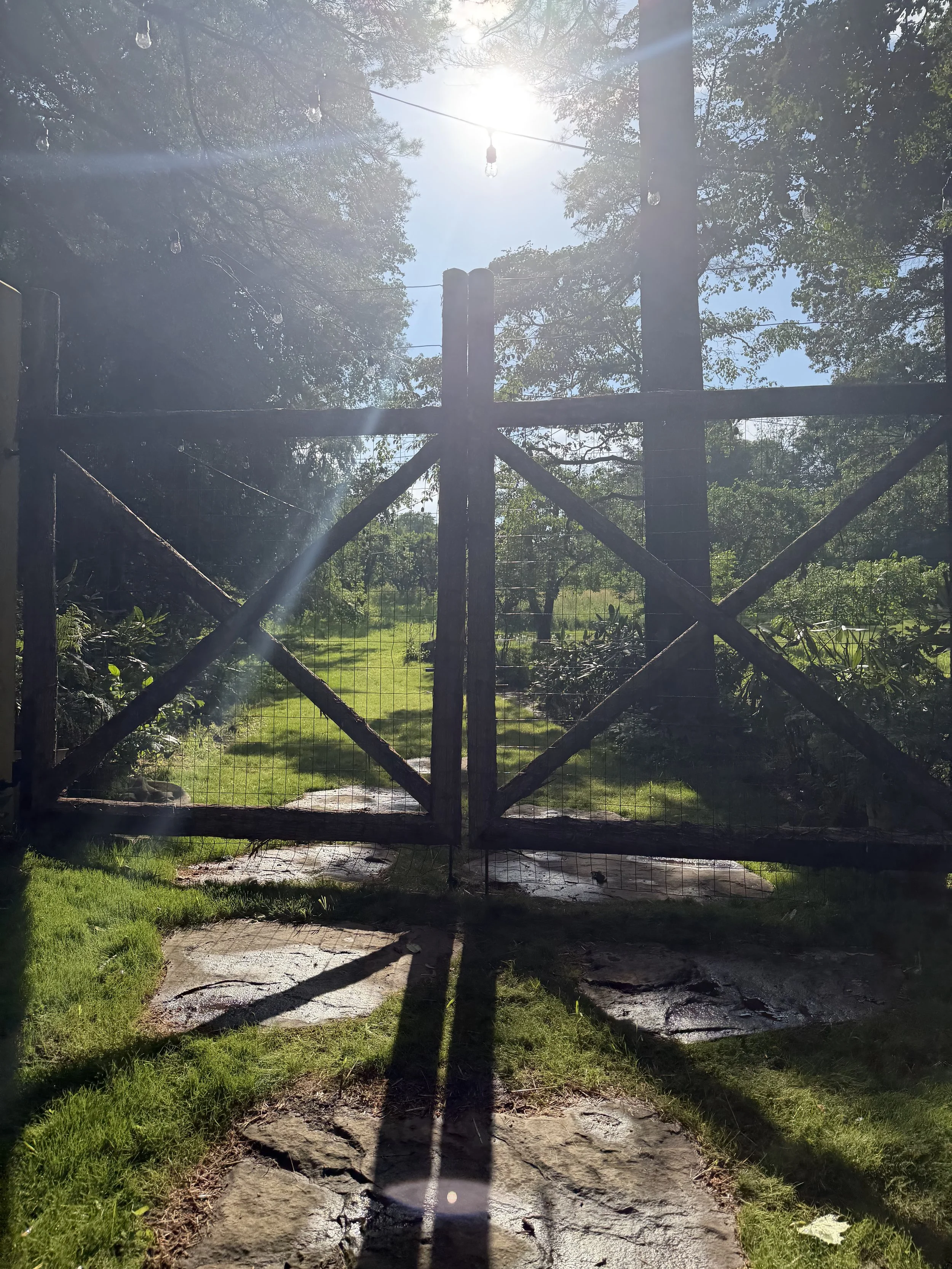 A wooden gate with a metal mesh stands in a lush green garden, with sunlight filtering through trees and casting shadows on the ground.