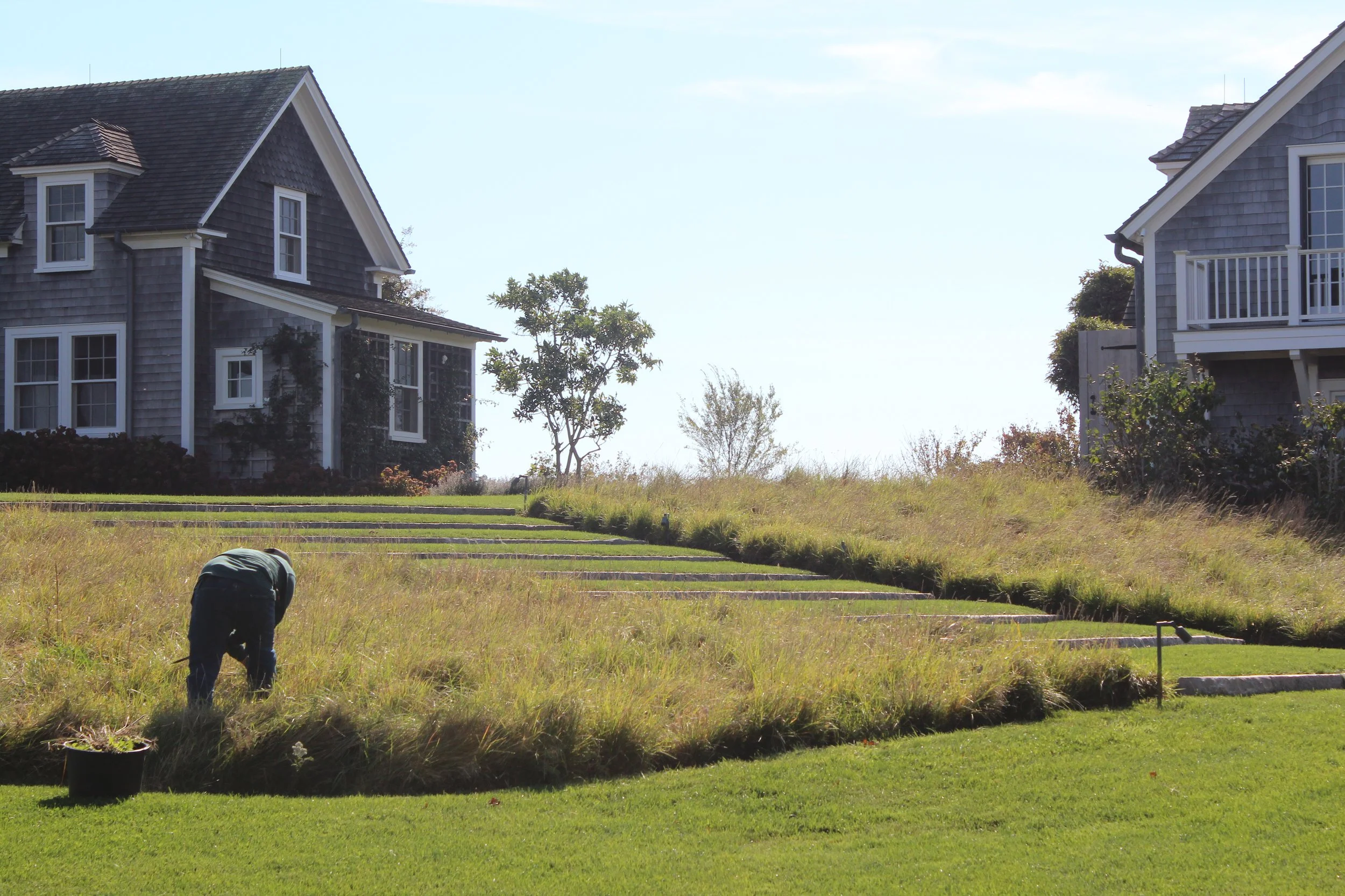 A person is working in a grassy yard with a black container nearby, with stairs leading up to houses with grey siding and white trim in the background under a clear sky.