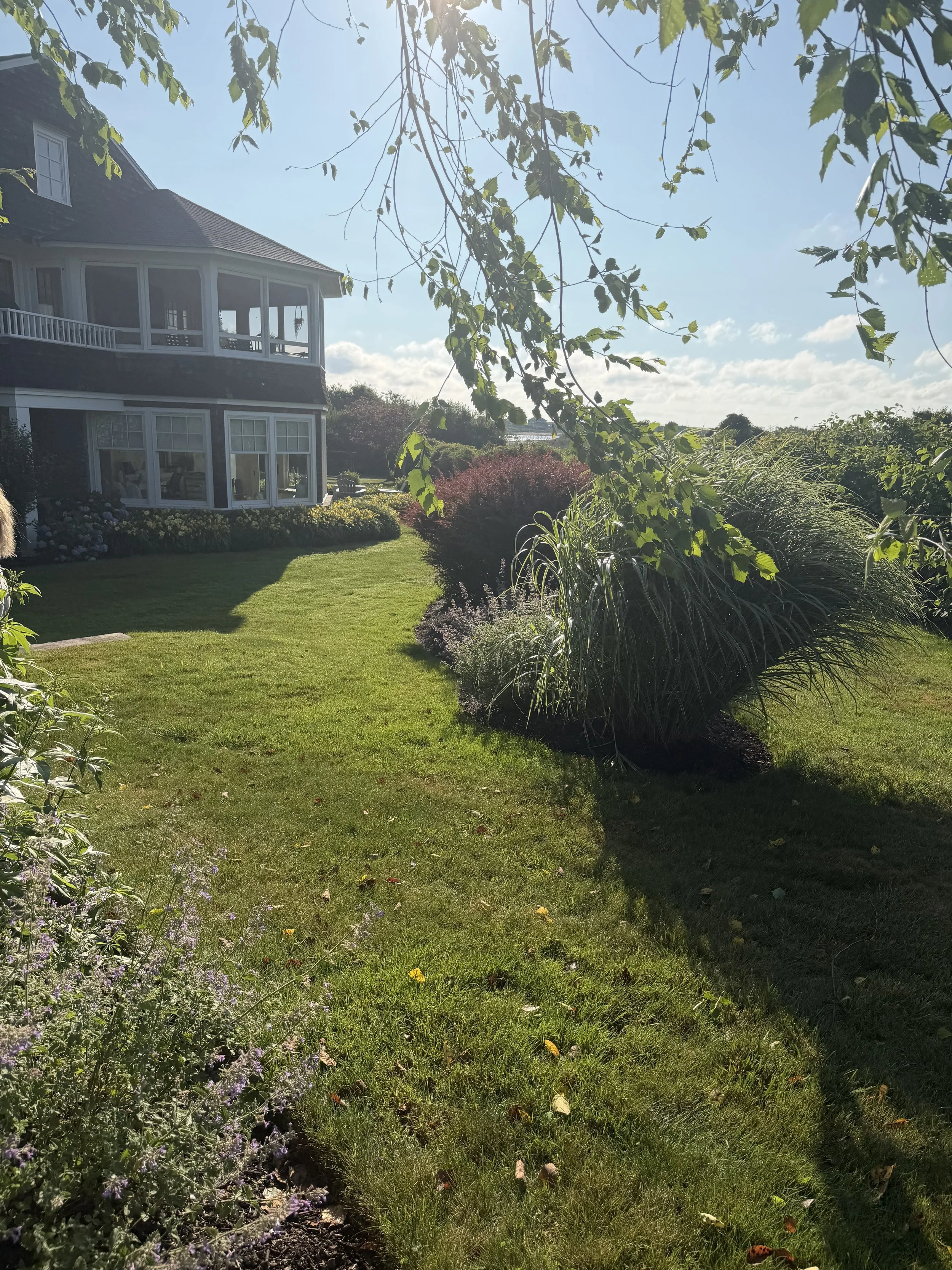 A backyard garden with a well-kept lawn, various bushes and flowers, and large windows on a house, under a bright sky with scattered clouds.