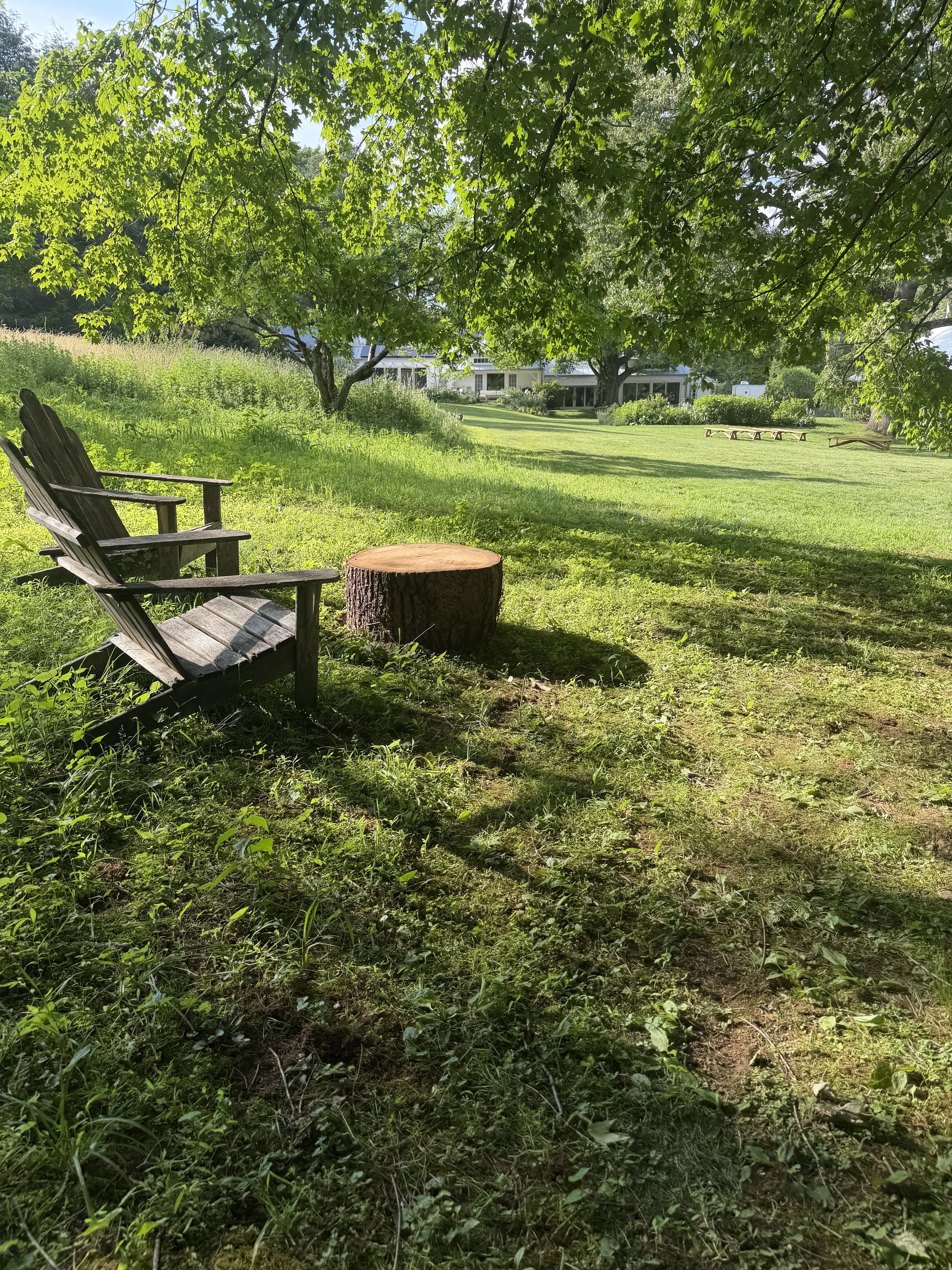 A peaceful outdoor scene featuring two empty wooden benches and a tree stump on a grassy area, with large trees providing shade and a house visible in the background.