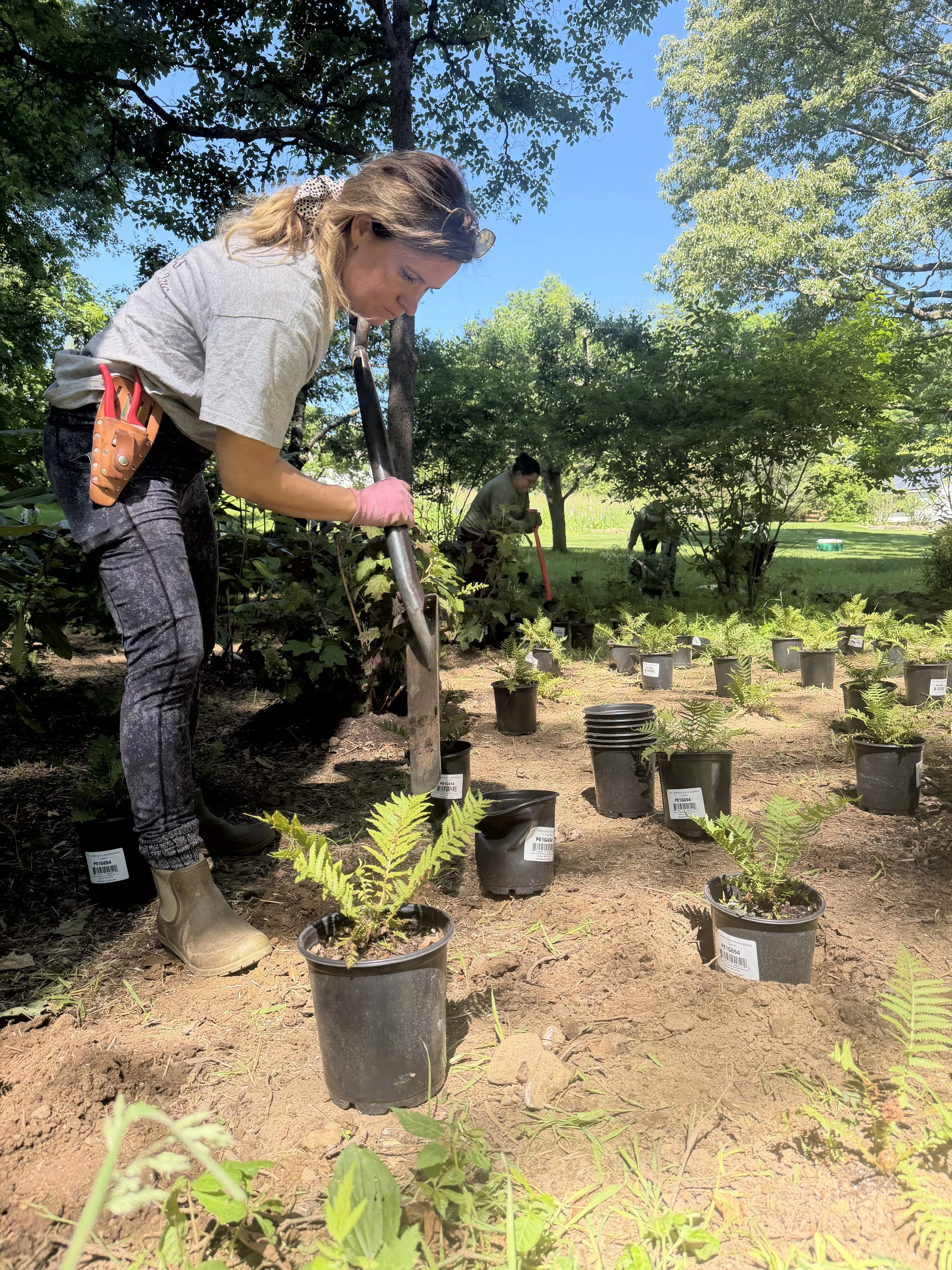 People planting or tending to small potted plants outdoors on a sunny day, with trees and grass in the background.