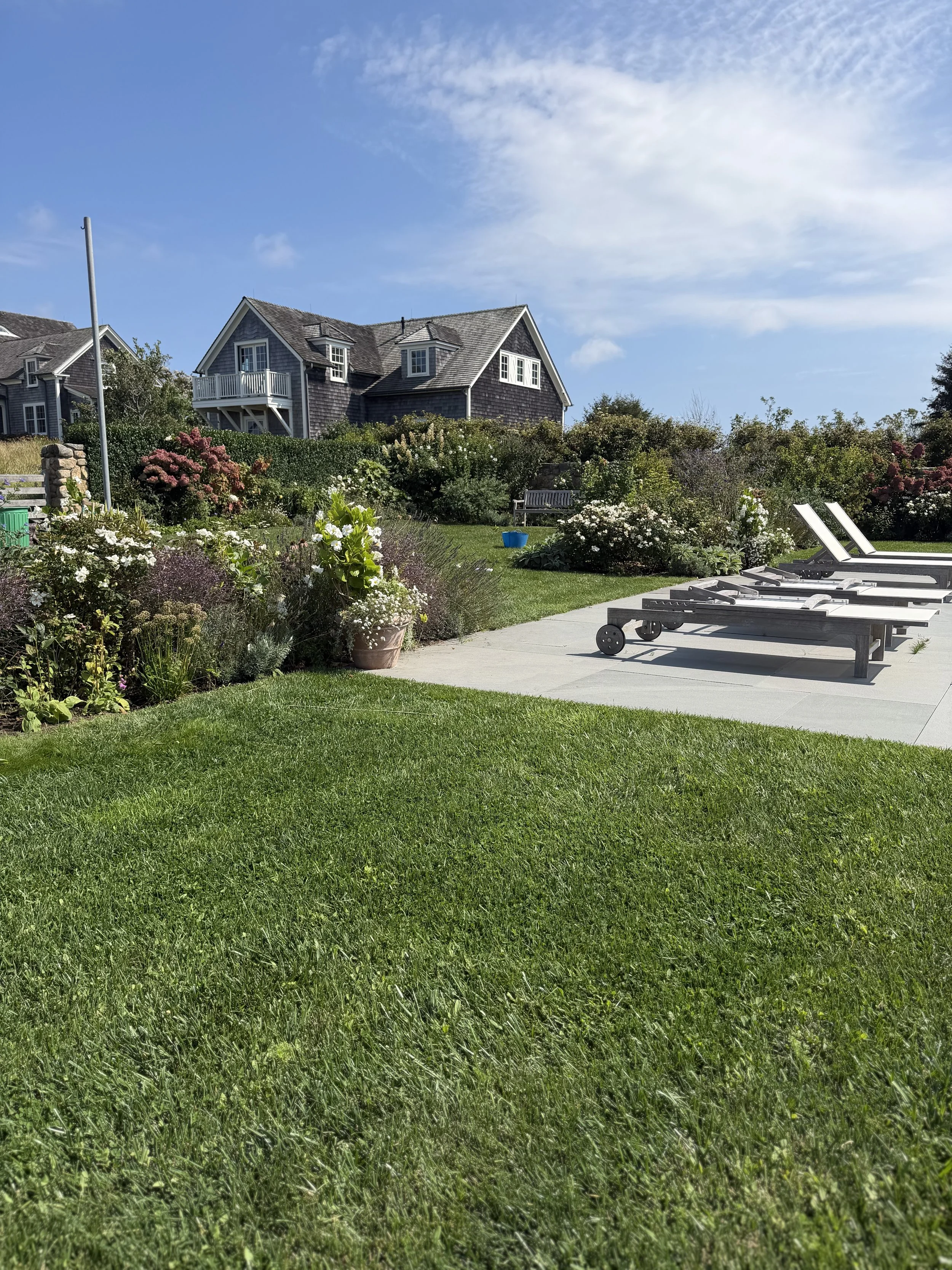 A backyard with green grass, flower plants, a stone walkway, a blue bucket, white lounge chairs, and houses with gray siding and gable roofs in the background under a clear blue sky.