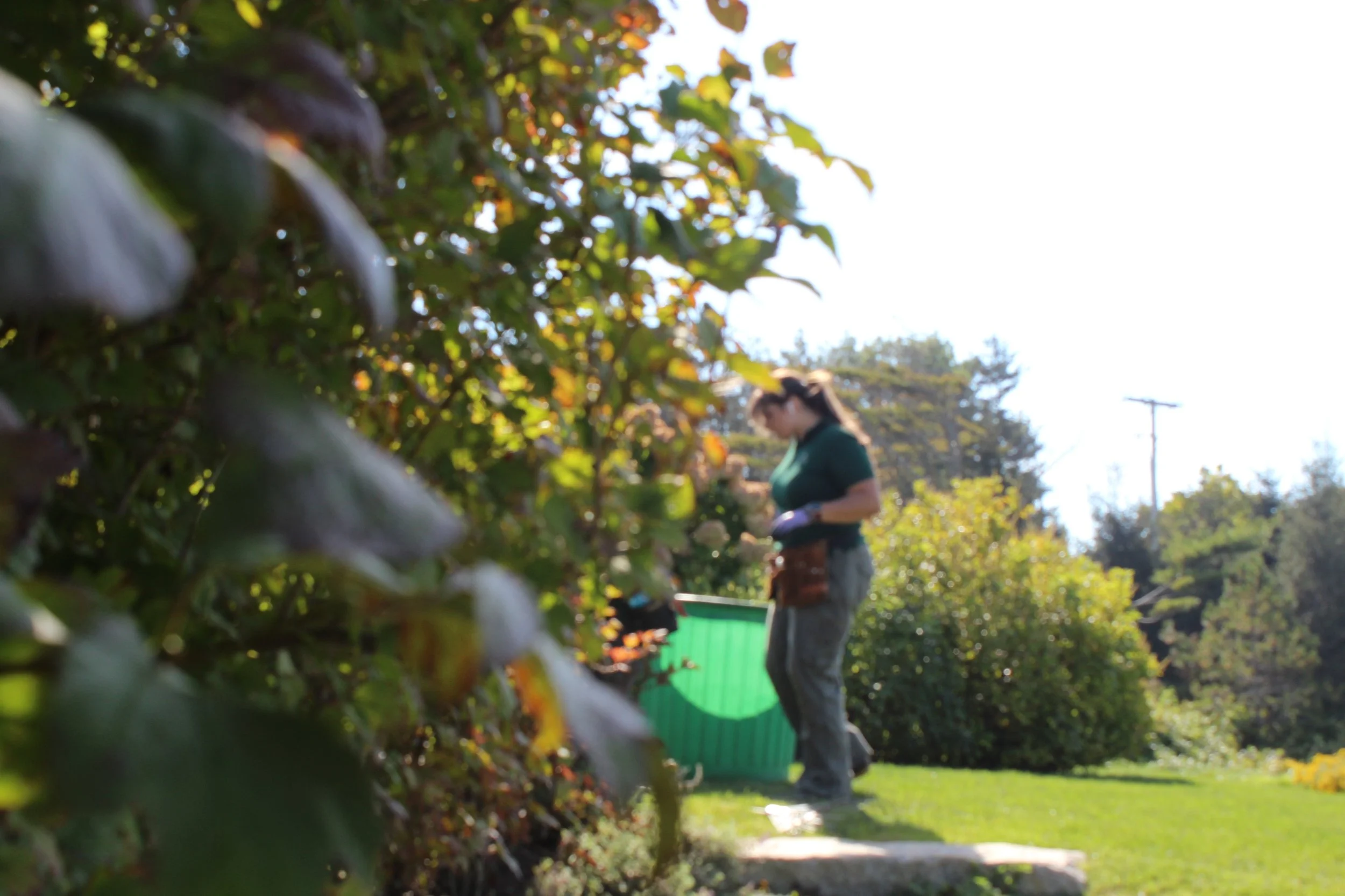 A woman with a ponytail, wearing a teal shirt, standing outdoors in a garden with a green bucket. She looks focused on her task, surrounded by trees and bushy plants, with a sunny sky overhead.