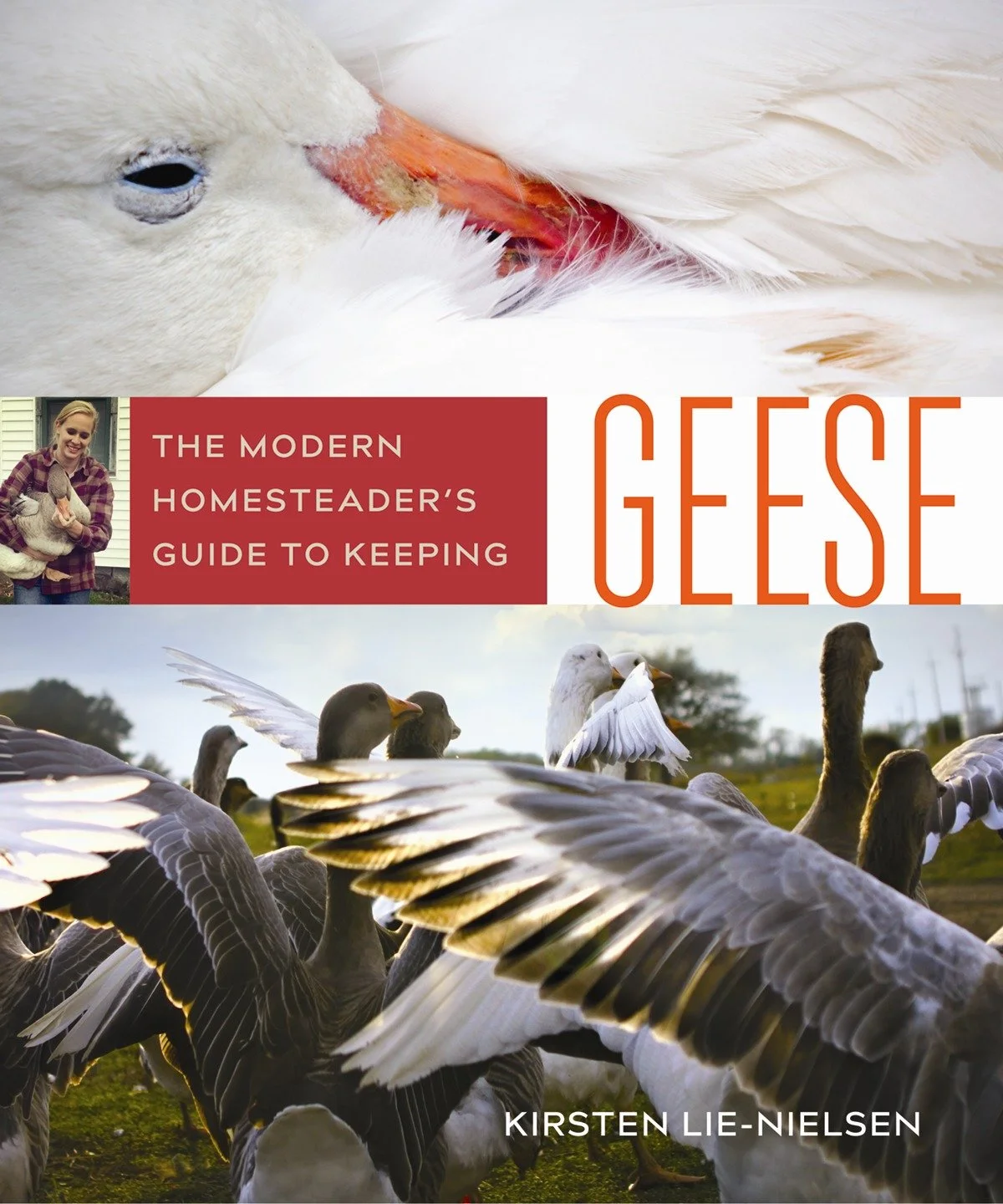 KeepingGeese.jpg