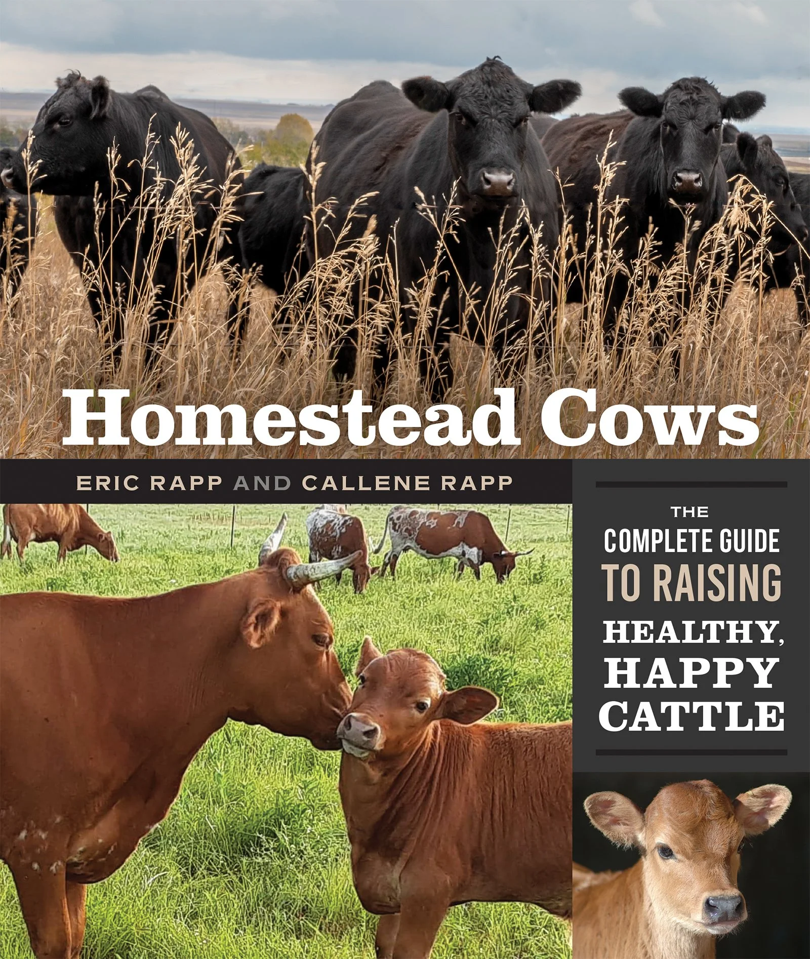 HomesteadCows.jpg