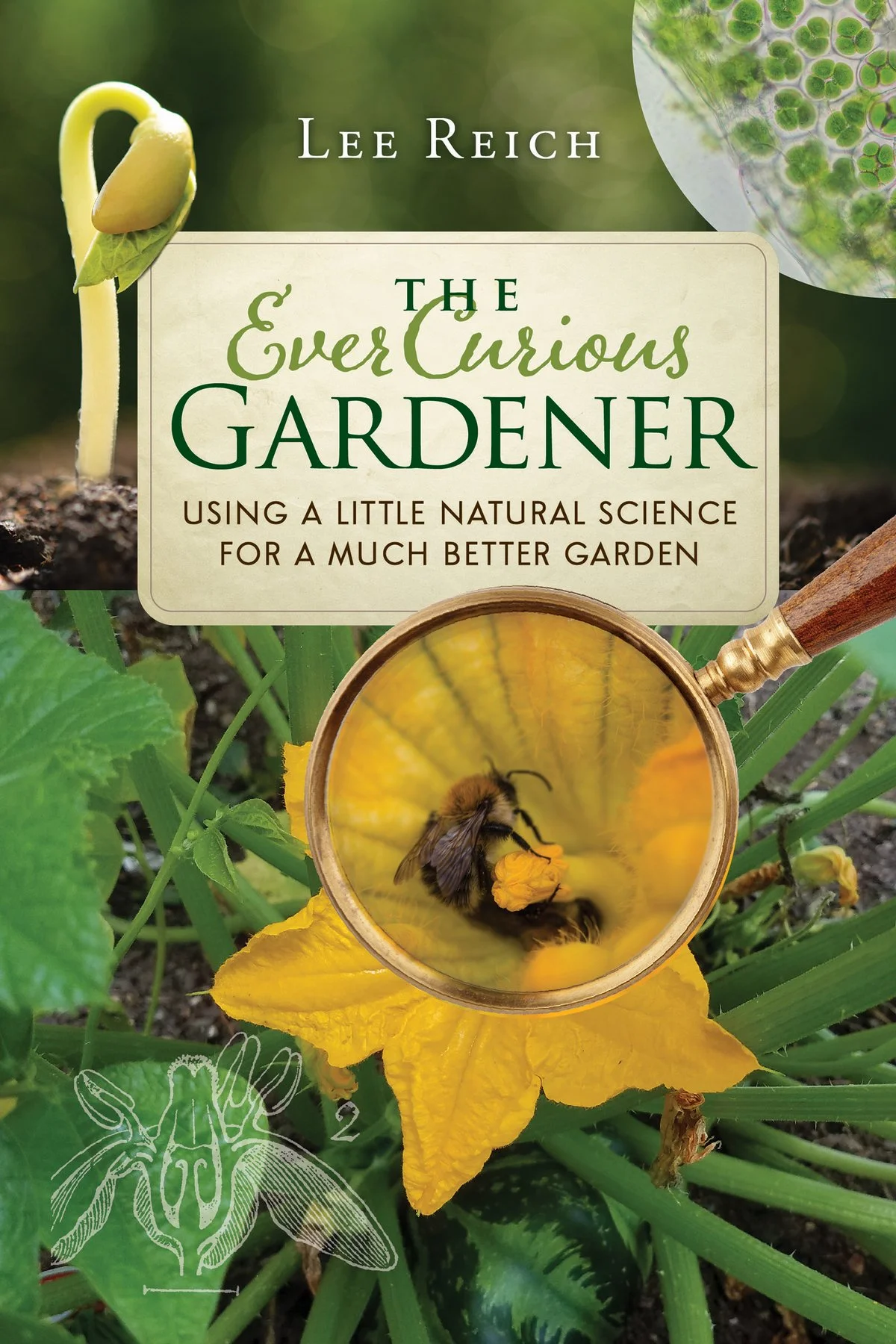 EverCuriousGardener.jpg