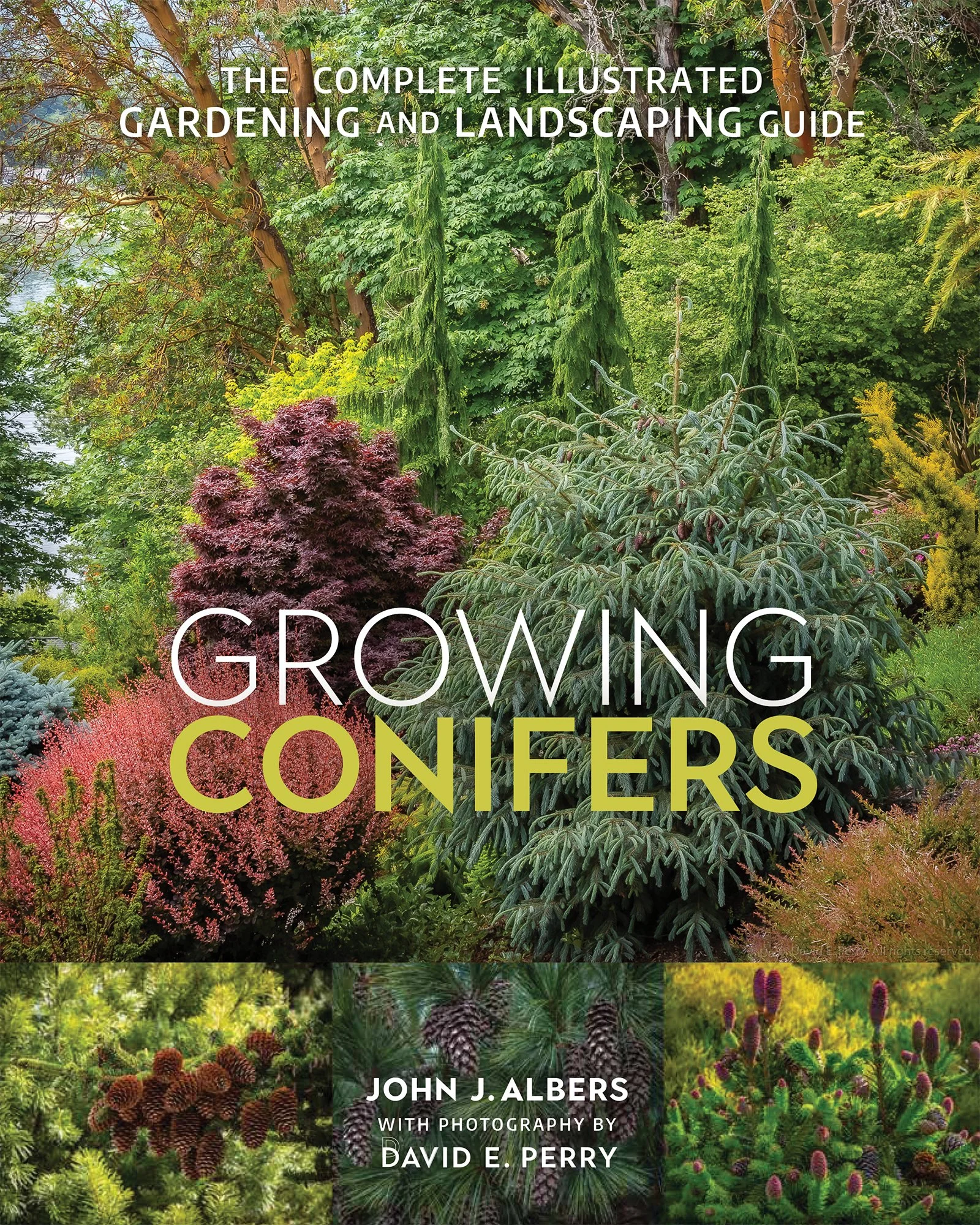 GrowingConifers.jpg