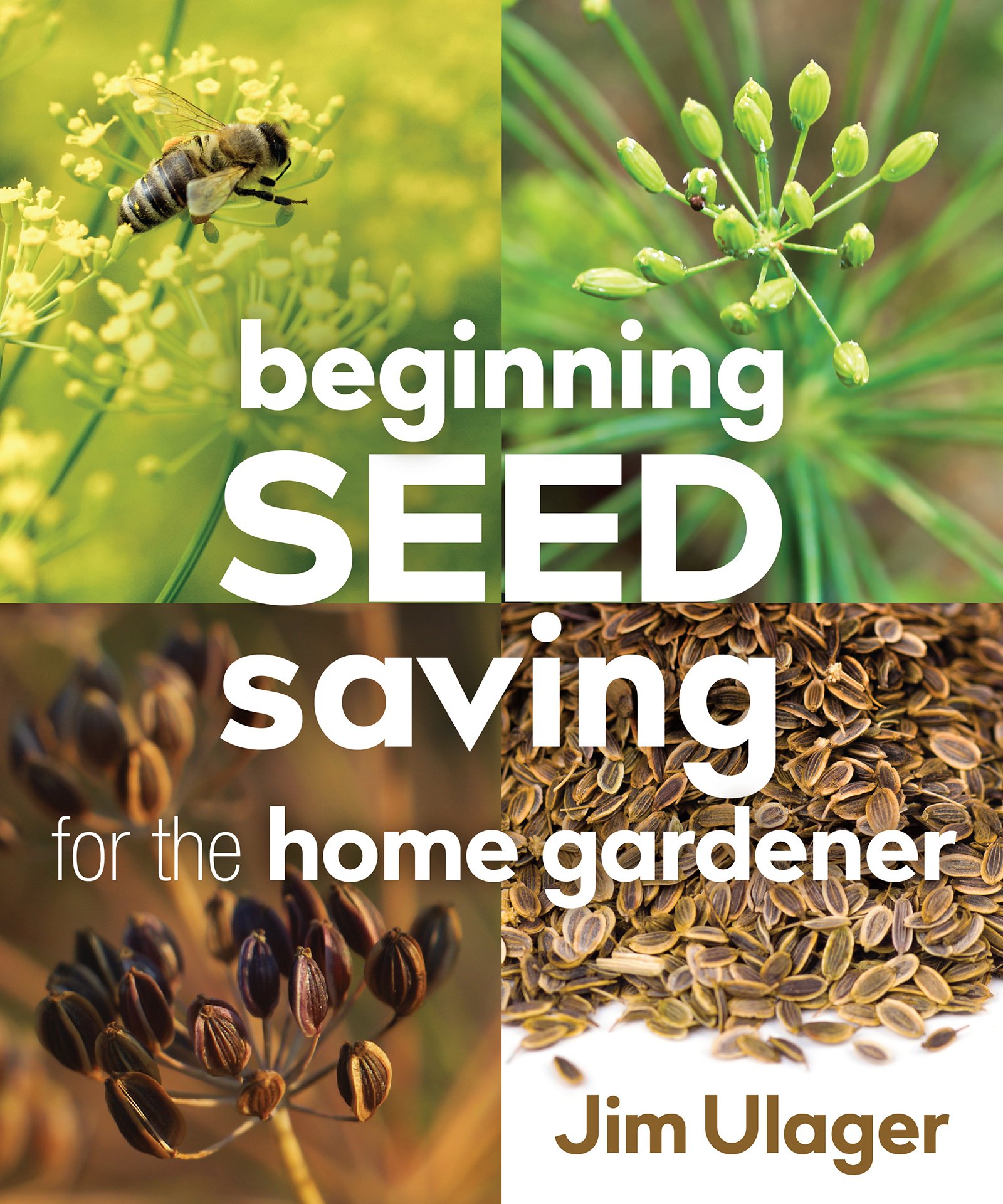 BeginningSeedSaving.jpg