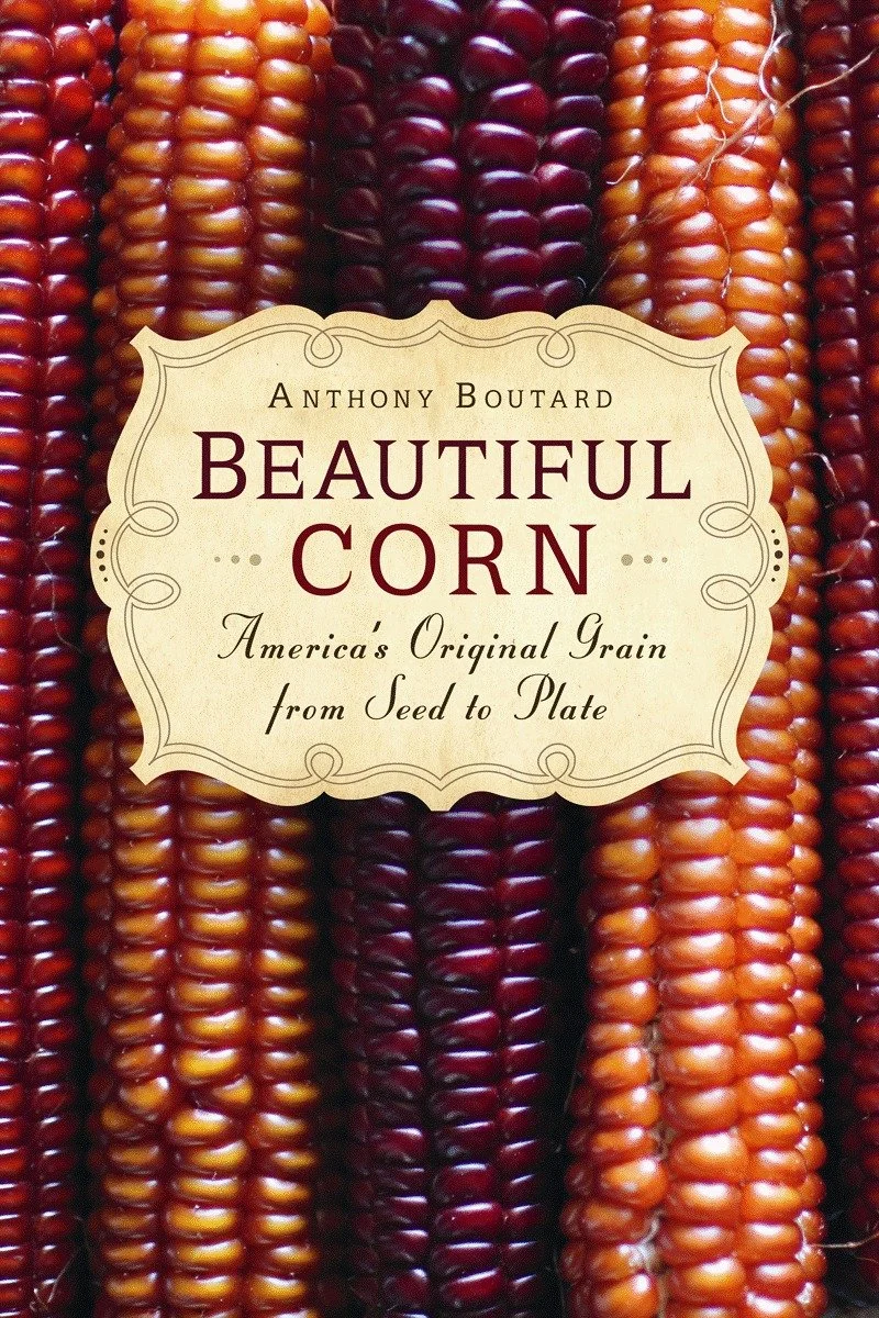 BeautifulCorn.jpg