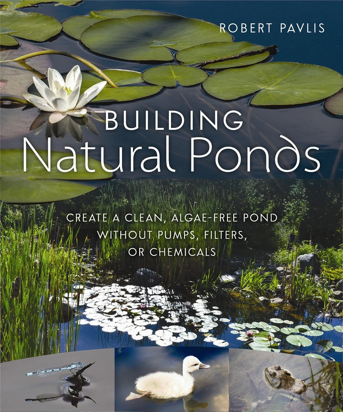 BuildingNaturalPonds.jpg