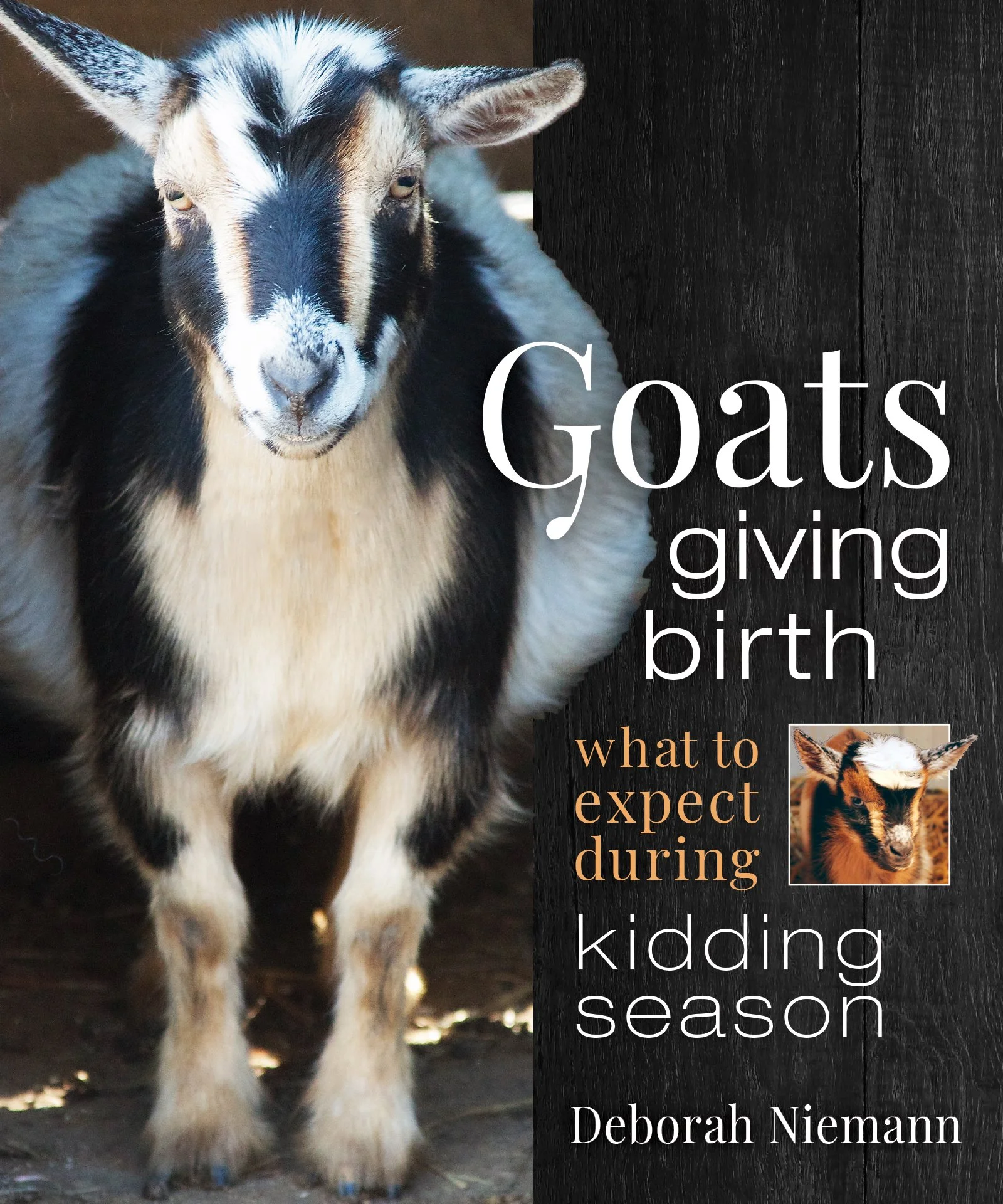 GoatsGivingBirth.jpg