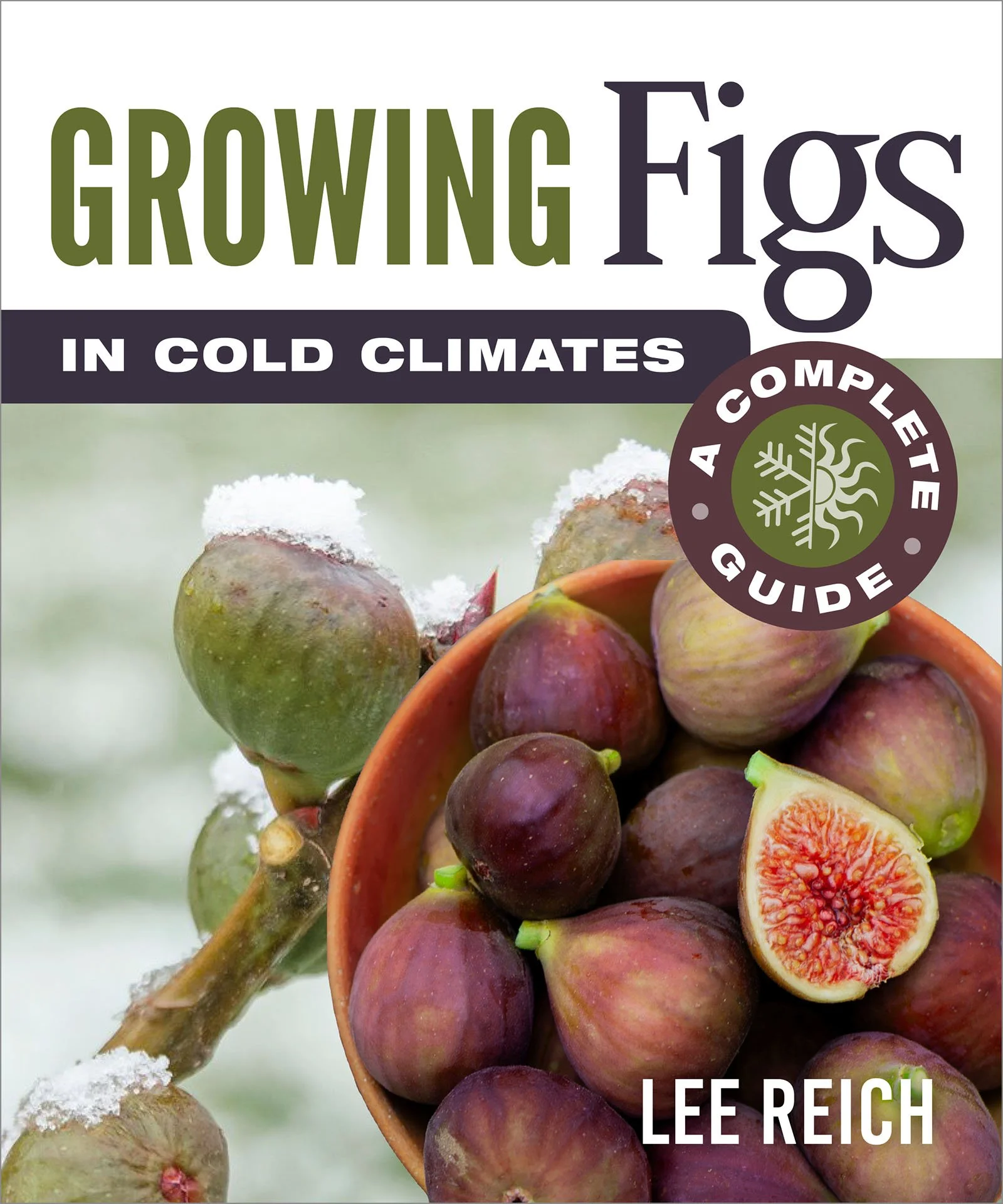 GrowingFigs.jpg
