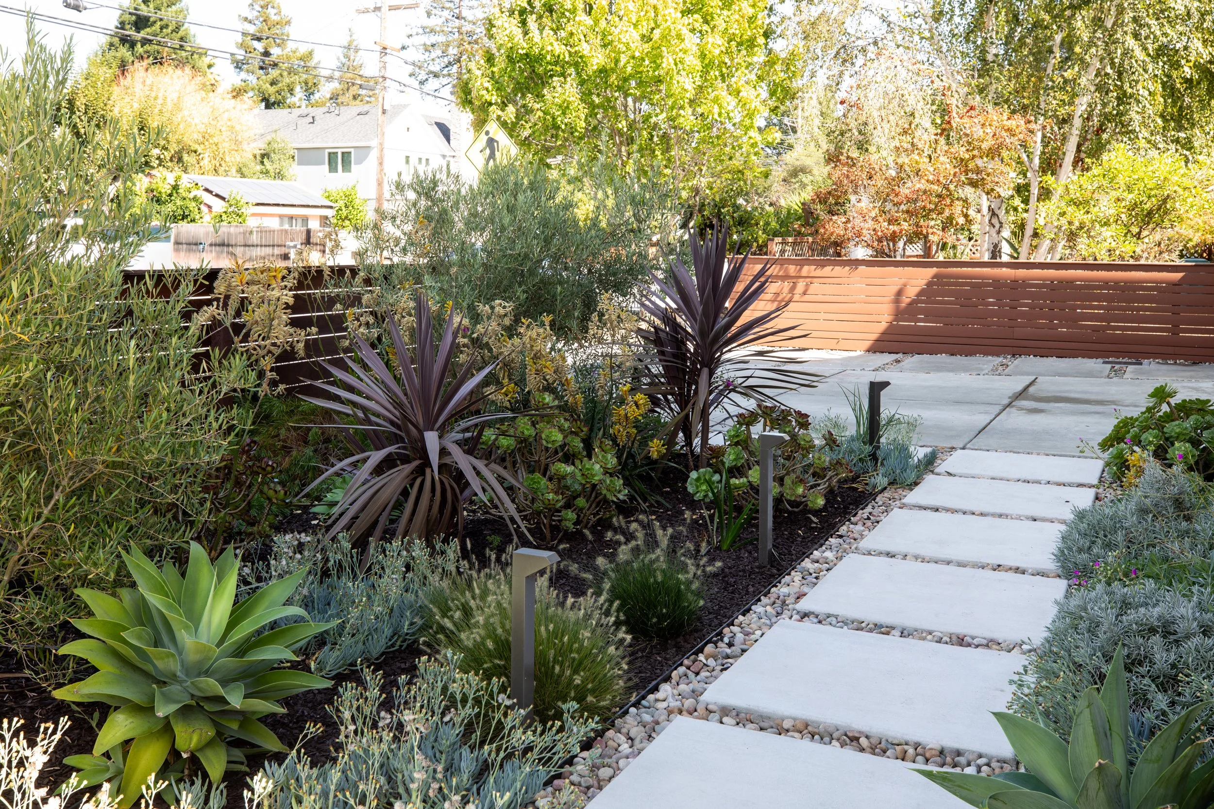 A well-maintained backyard garden with a concrete pathway bordered by a bed of various green plants, golden and purple foliage, and small landscape lights. A wooden fence and trees are visible in the background, with utility wires overhead and a yell