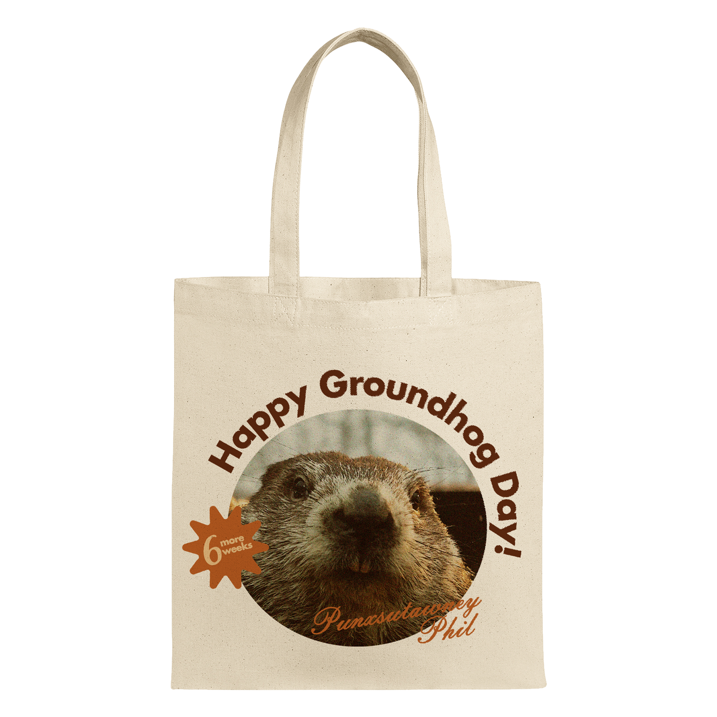 ground NS.png