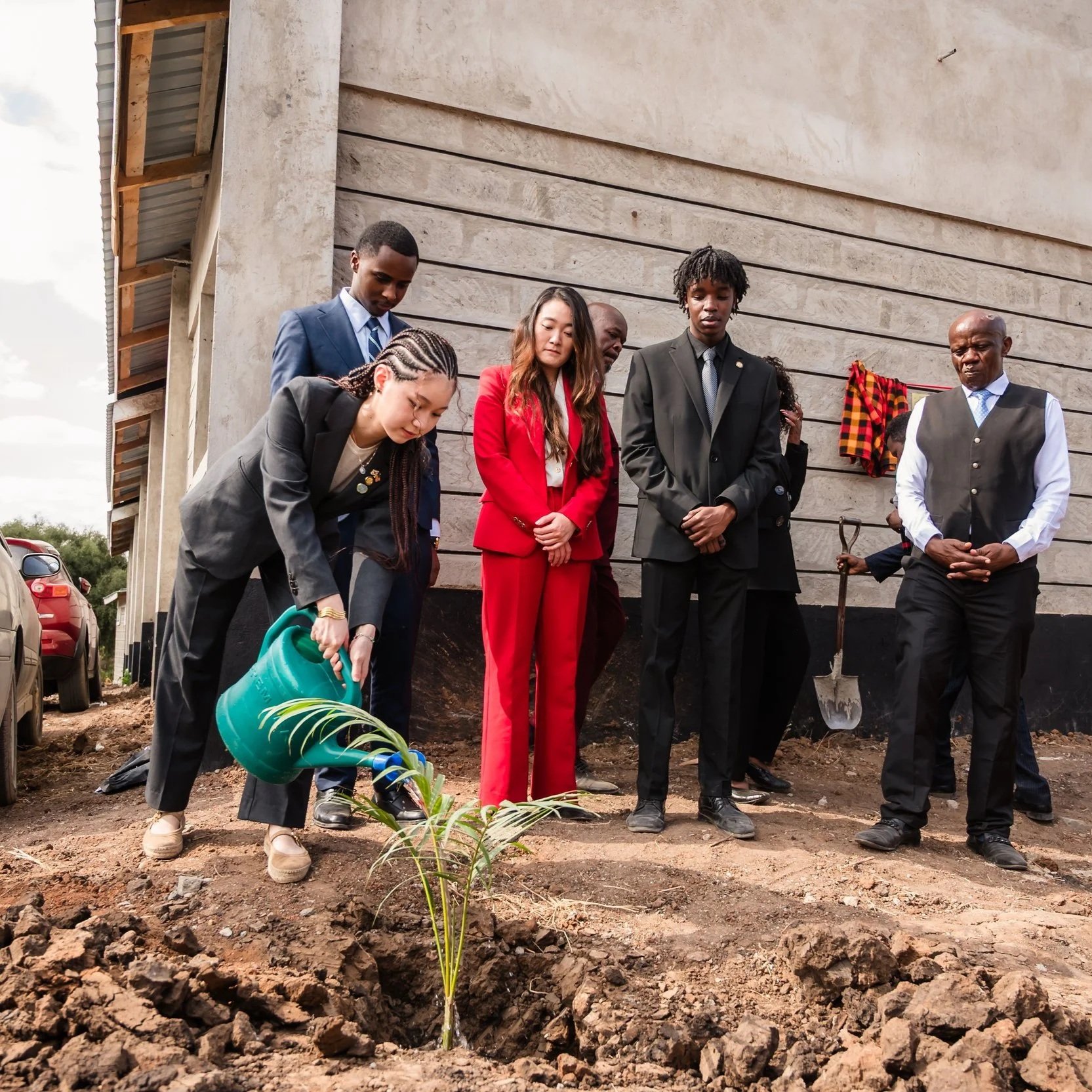 One seed becomes a tree. 
One tree produces many seeds. 
And with enough care and time, those seeds can become a forest.