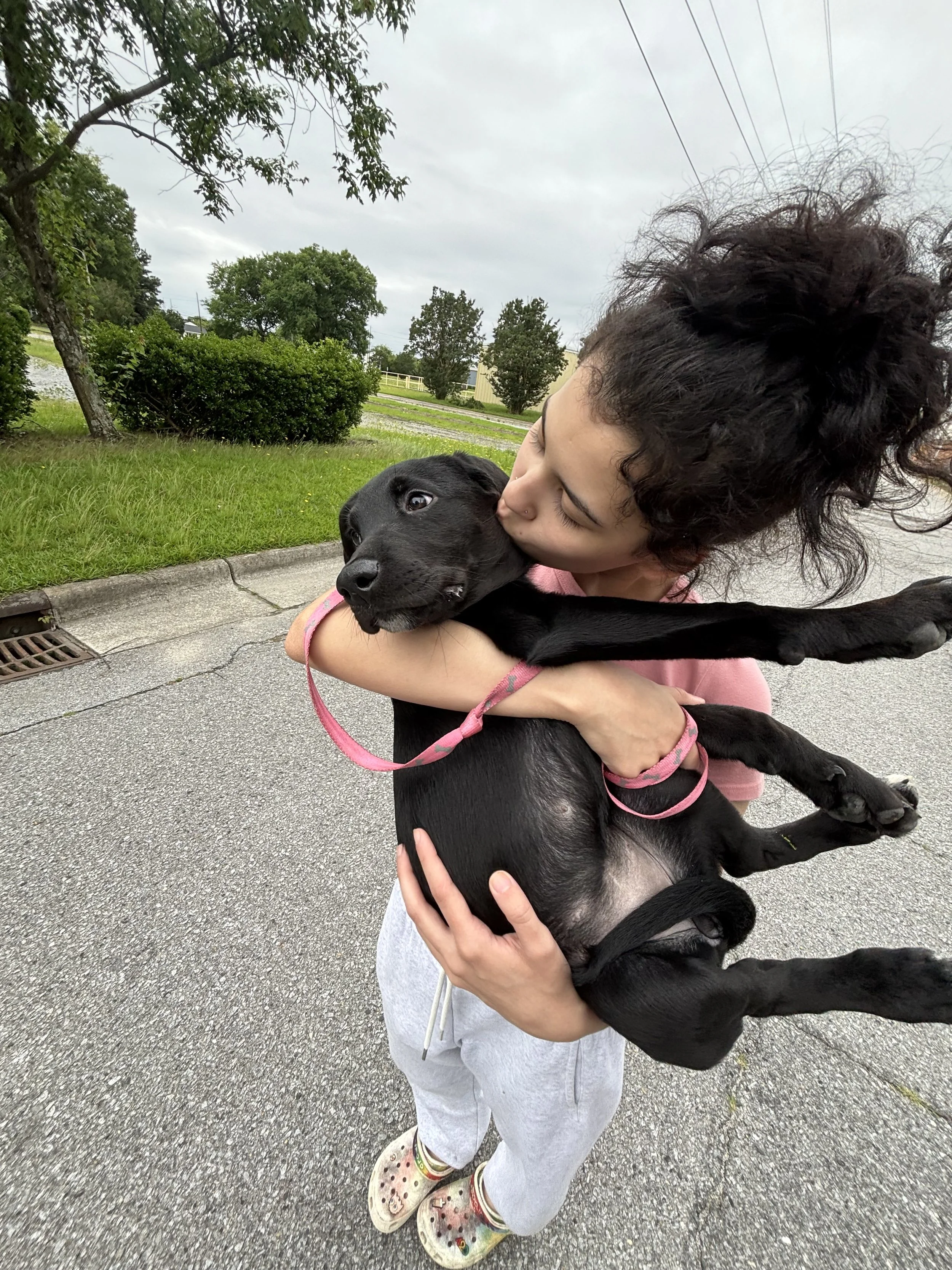 A girl is holding a black puppy and giving it a kiss on the face outdoors on a cloudy day. The girl is wearing a pink hoodie and grey sweatpants, and the puppy has a pink leash.
